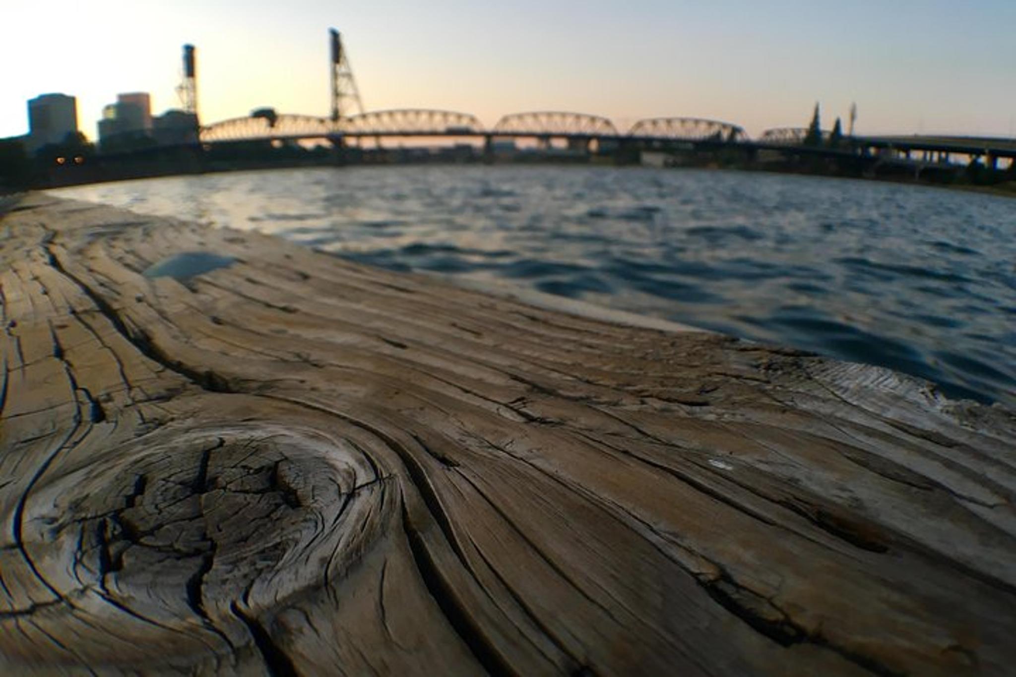 Portland City Tour - Image 4