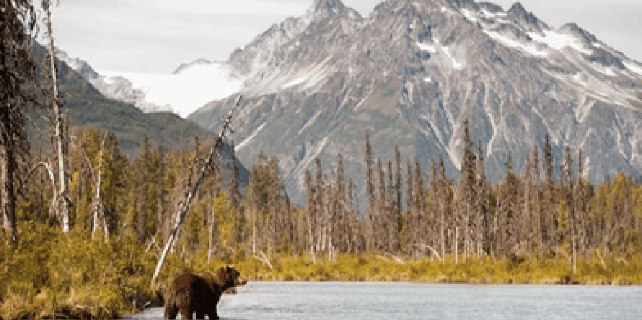 Anchorage Kenai Fjords & Denali National Park Tour 5 Days - Image 4