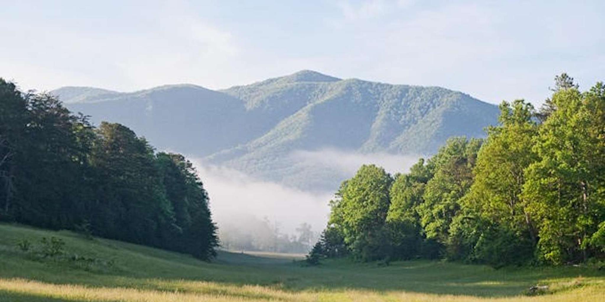 Pigeon Forge Smoky Mountains Guided Tour 6 hr - Image 5