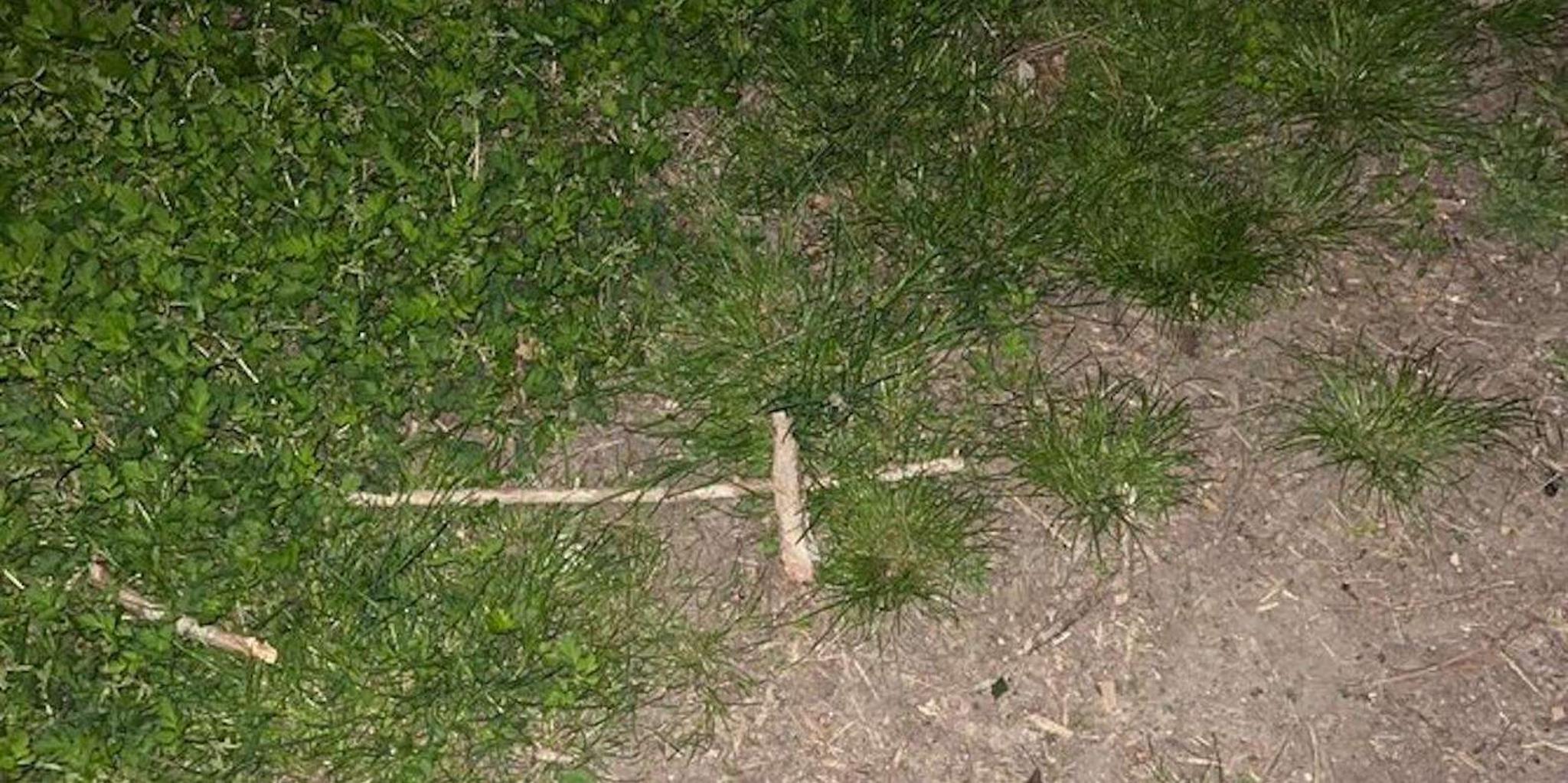 St. Augustine Paranormal Investigation Tour - Image 2