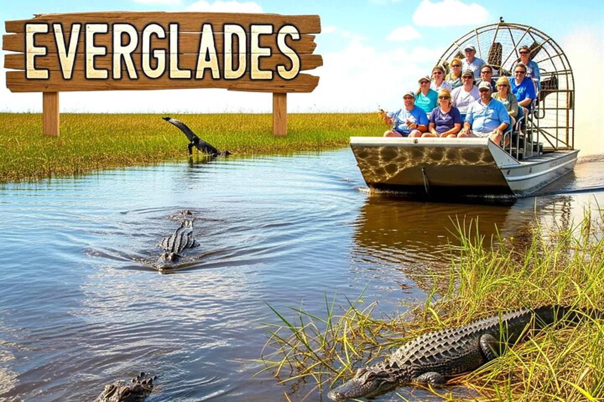 Miami Everglades Airboat Wildlife Experience - Image 6