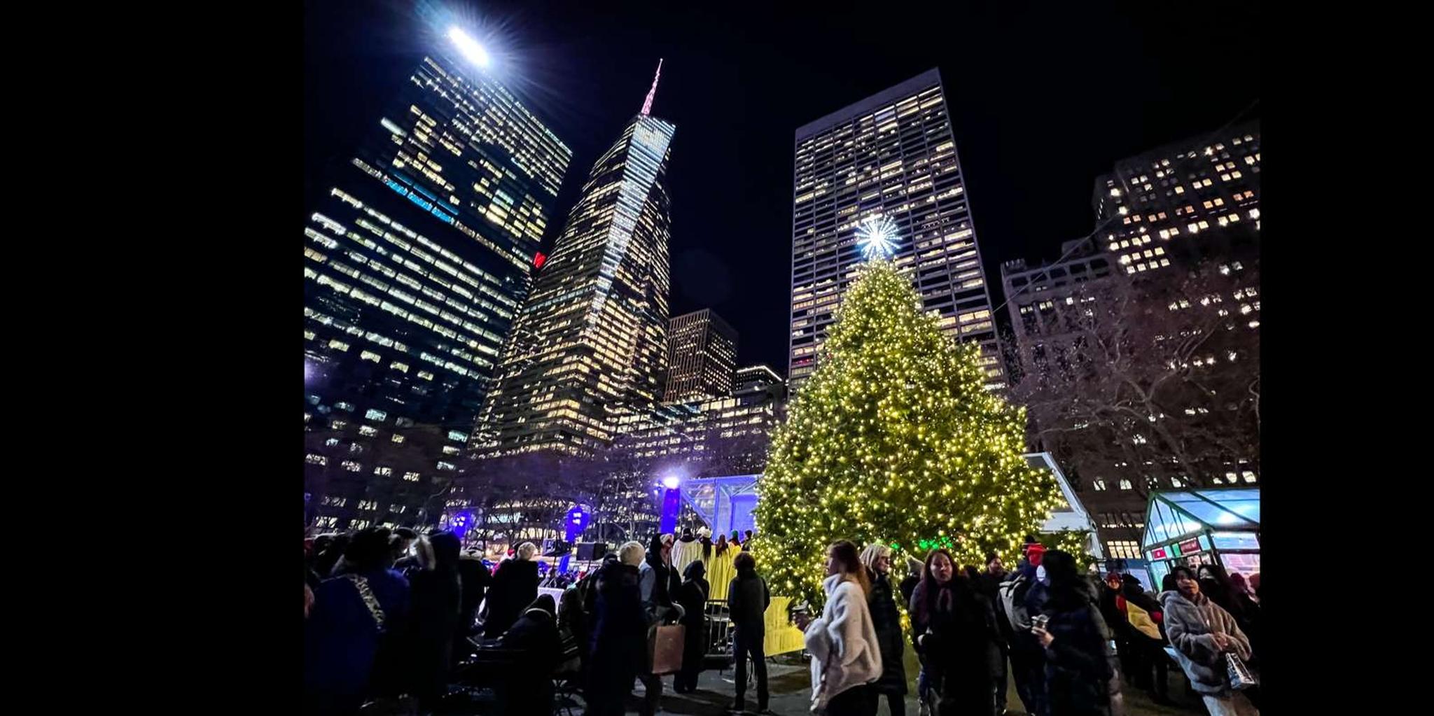 New York Christmas Rickshaw Sleigh Ride - Image 4