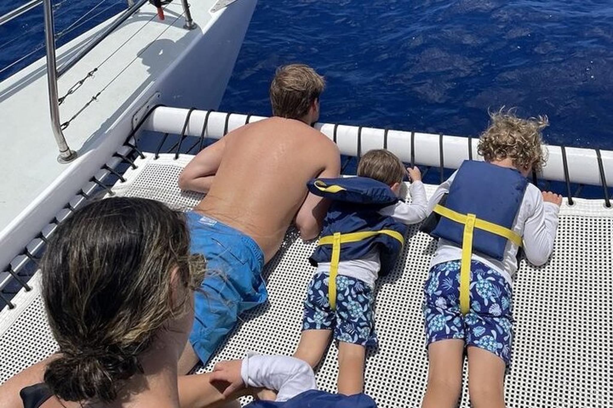 Oahu Turtle Snorkeling and Dole Plantation Tour - Image 4