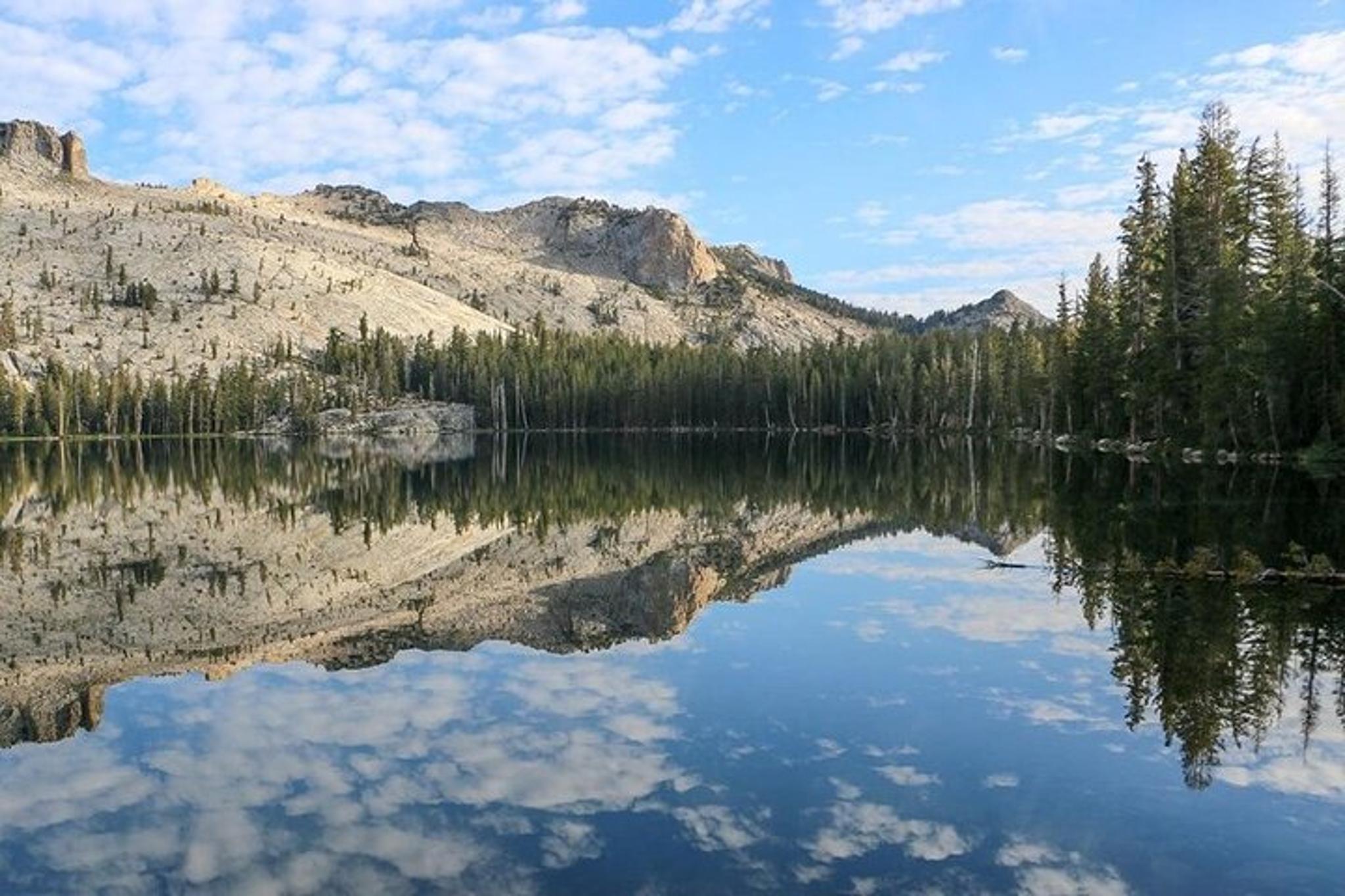 Los Angeles Yosemite & Kings Canyon 2-Day Tour - Image 3