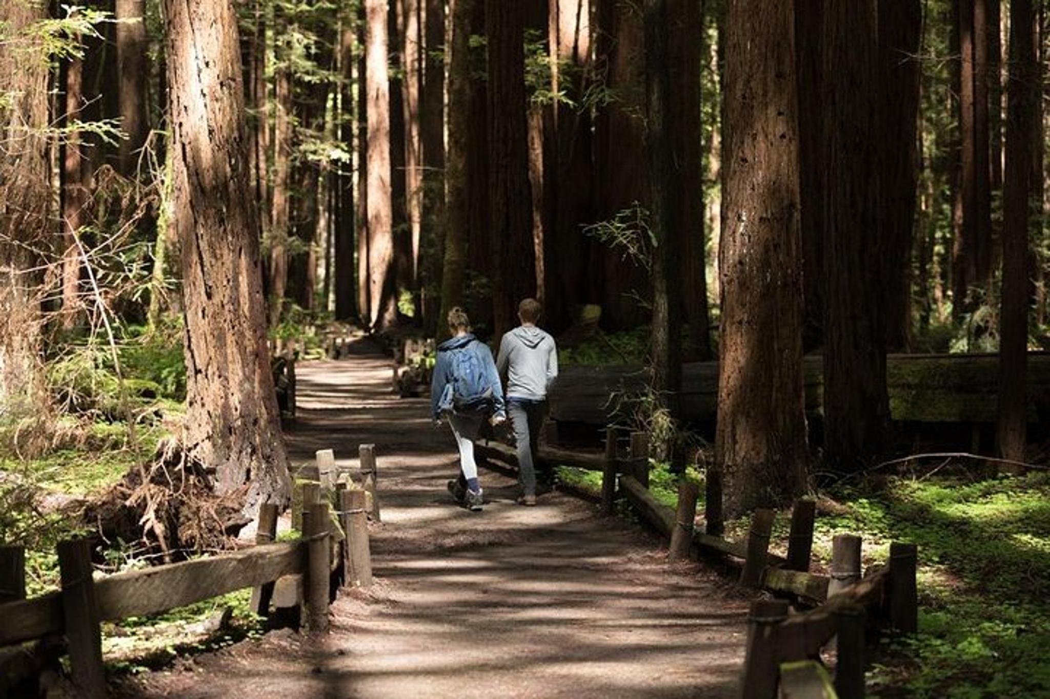 San Francisco Redwoods & California Coast Day Trip - Image 2