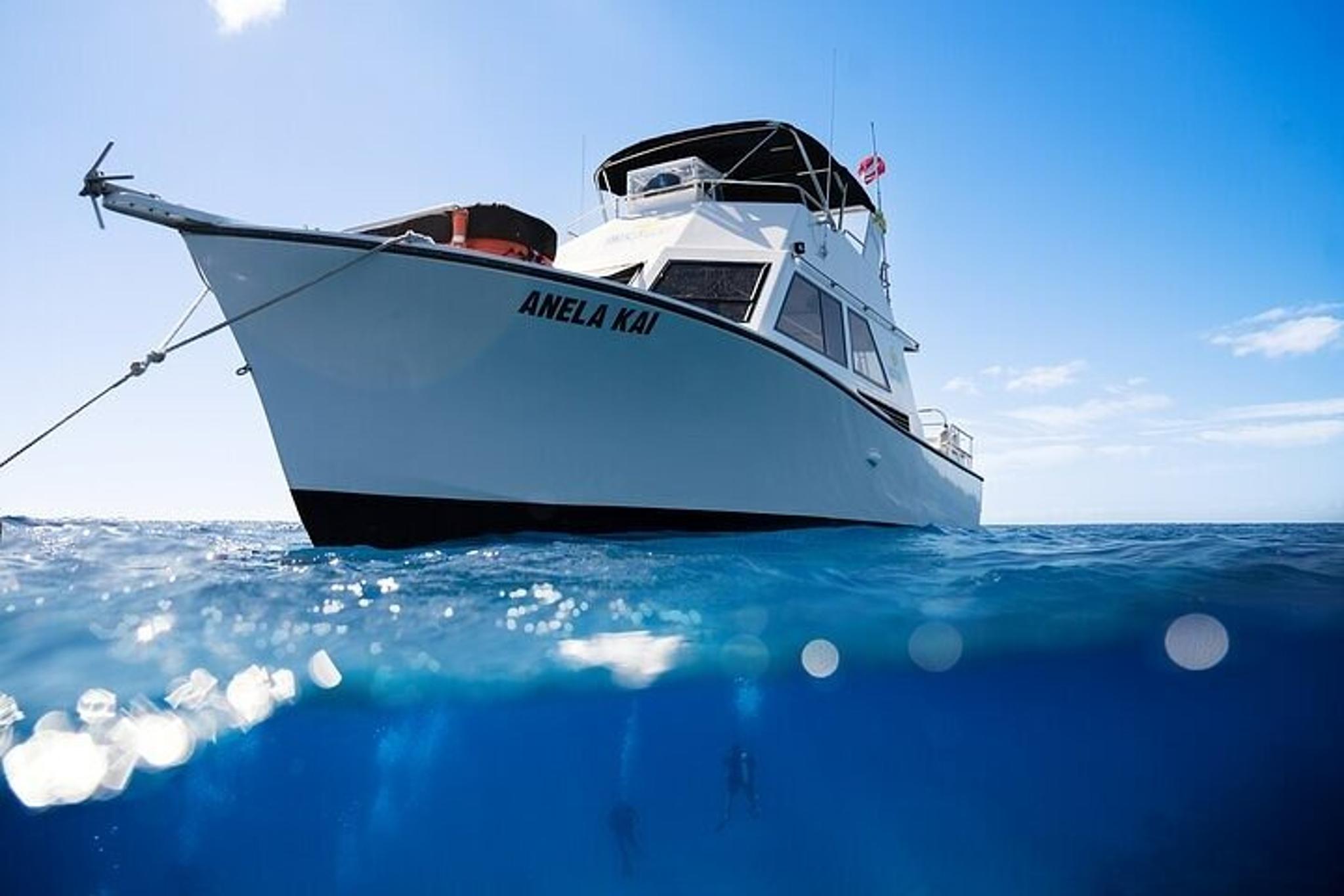Kauai Scuba Charter for Experienced Divers - Image 3