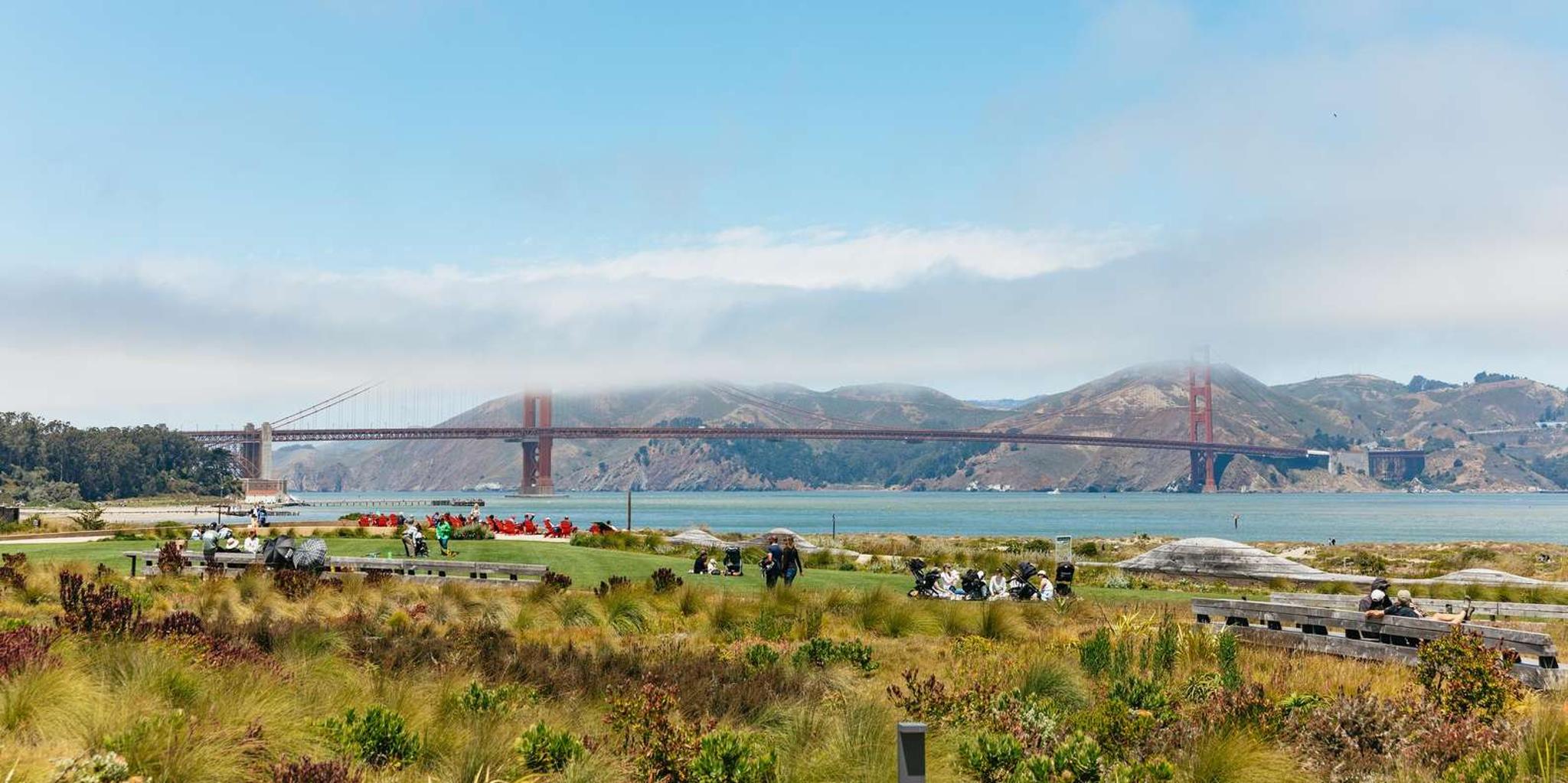 San Francisco City Tour with Alcatraz Ferry - Image 6
