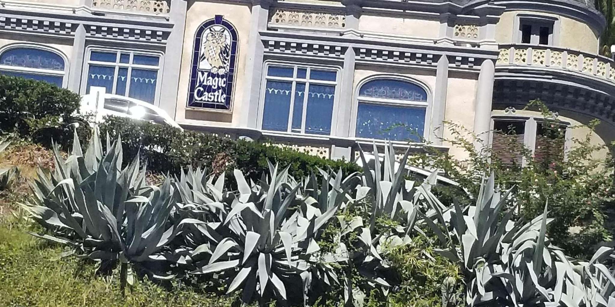 Los Angeles Private Tour with Pickup - Image 3