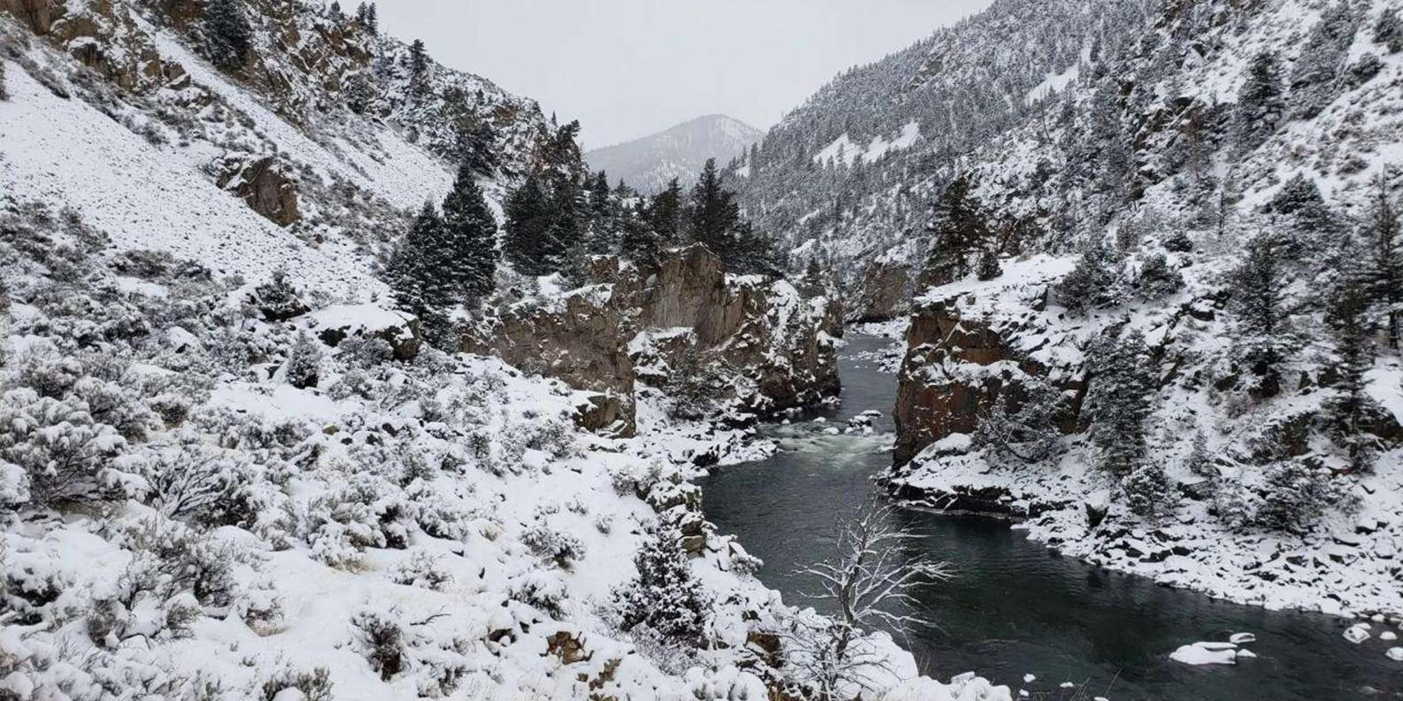 Gardiner Yellowstone National Park Snowshoe Tour 5 hr - Image 6