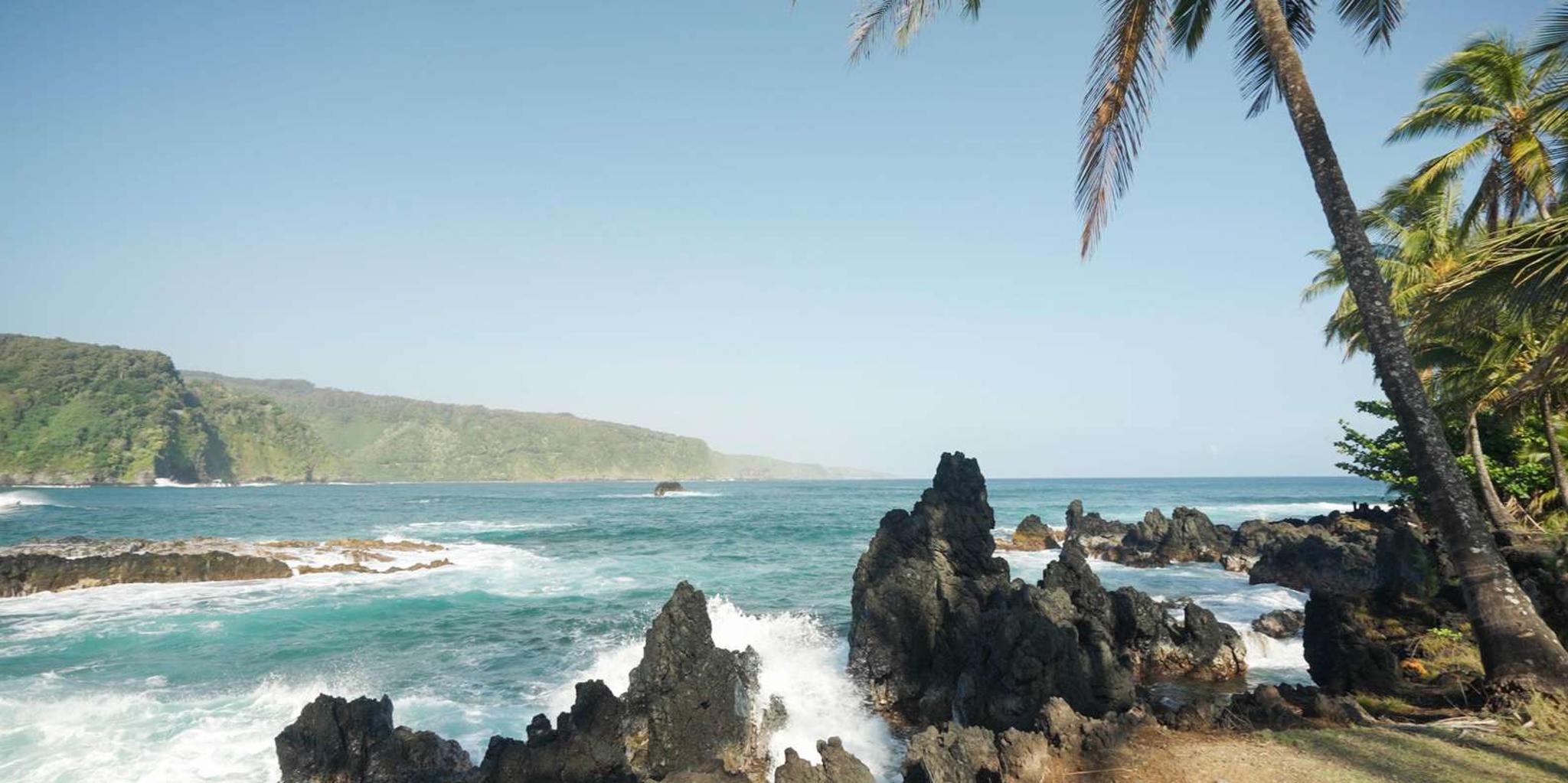 Maui Road to Hana Rainforest and Waterfall Experience - Image 6