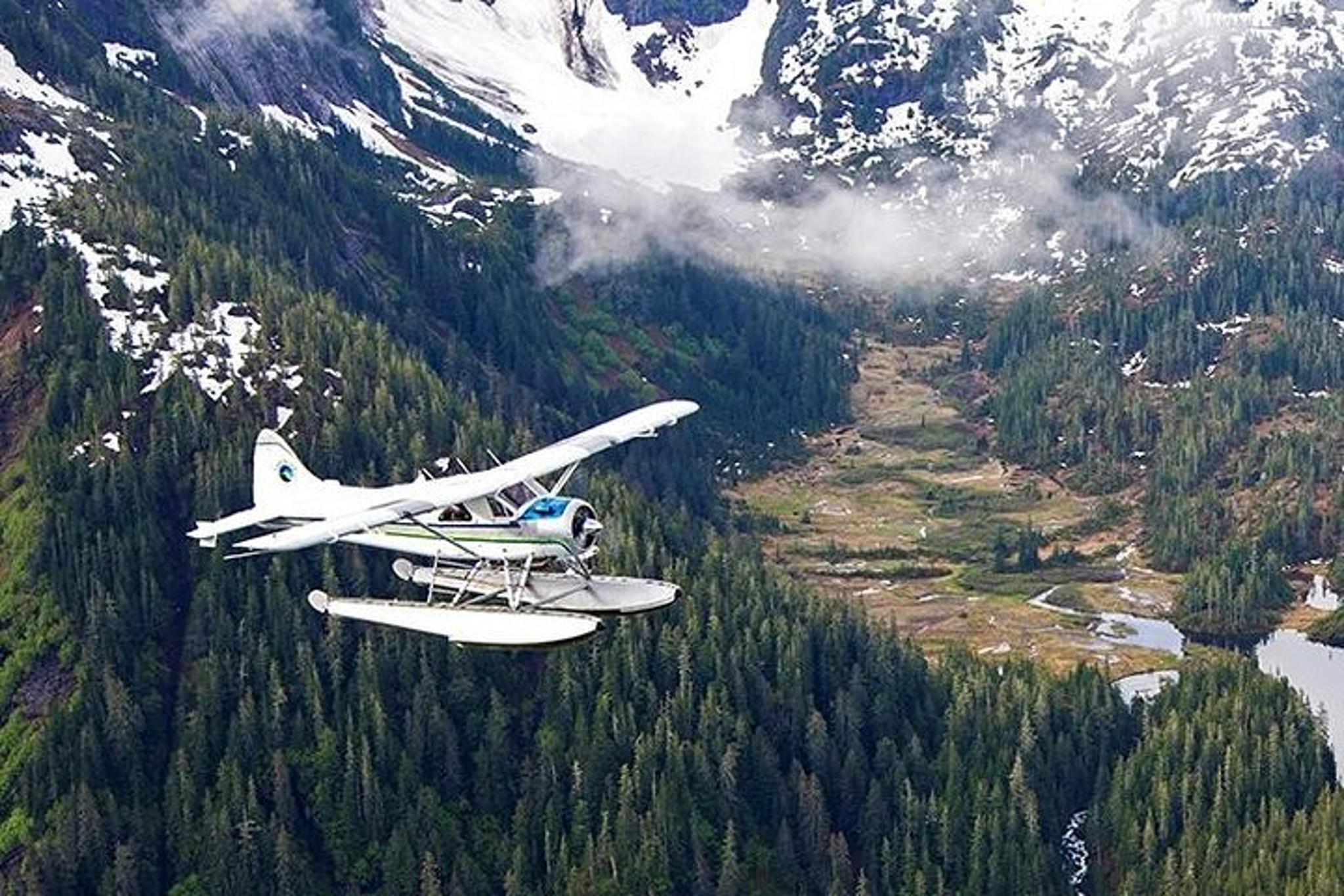 Ketchikan Misty Fjords Flightseeing 1 hr - Image 3