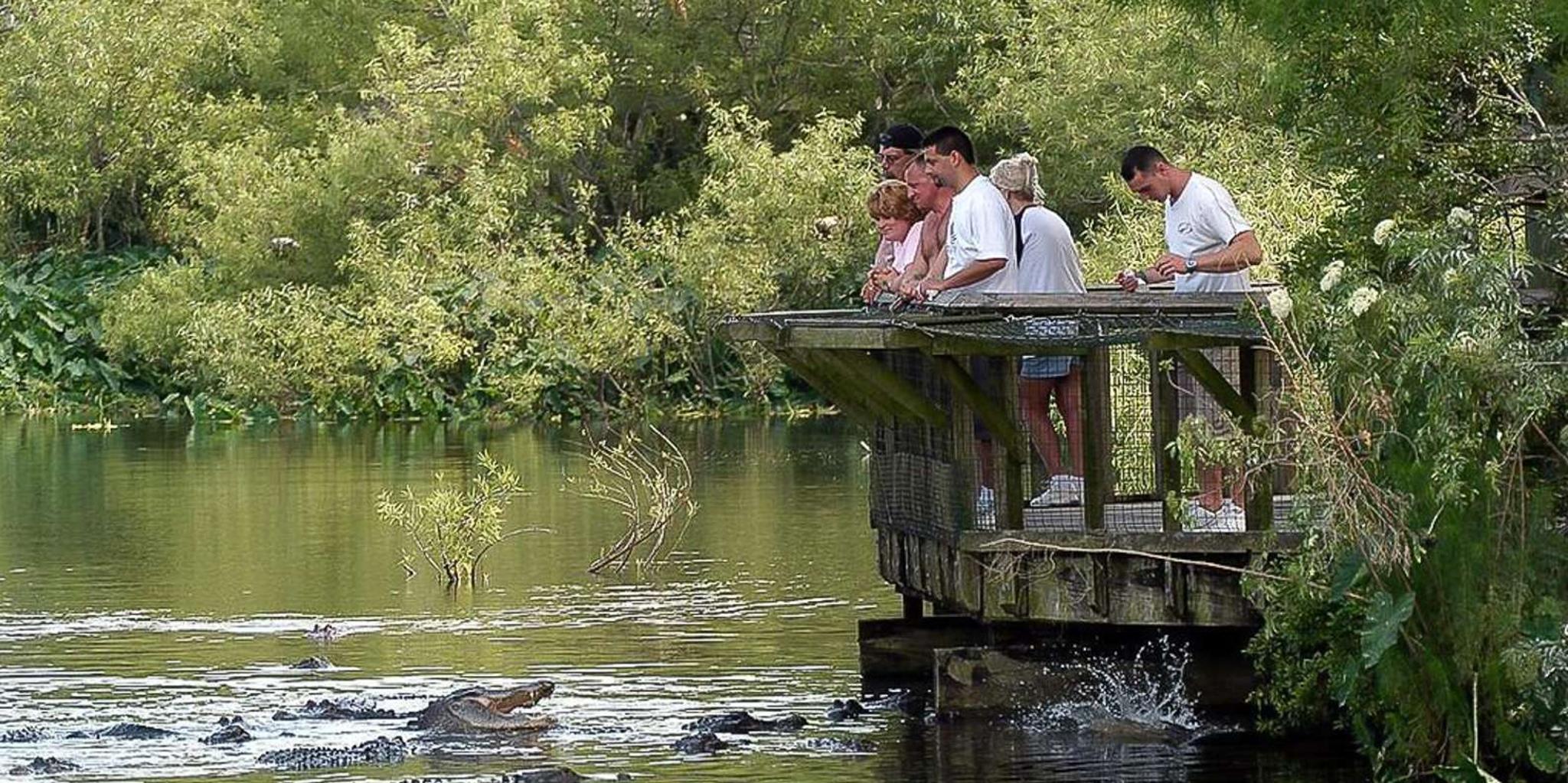 Orlando Gatorland Skip-the-Line Ticket - Image 5