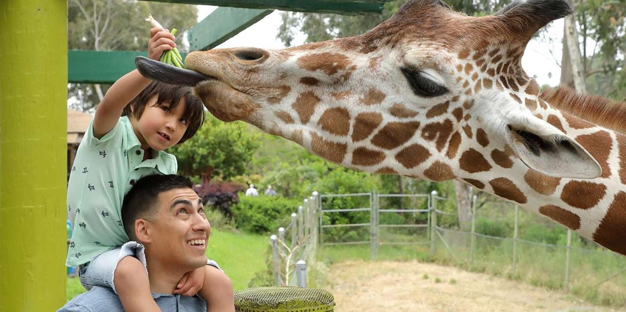 San Francisco Six Flags Discovery Kingdom Admission - Image 2