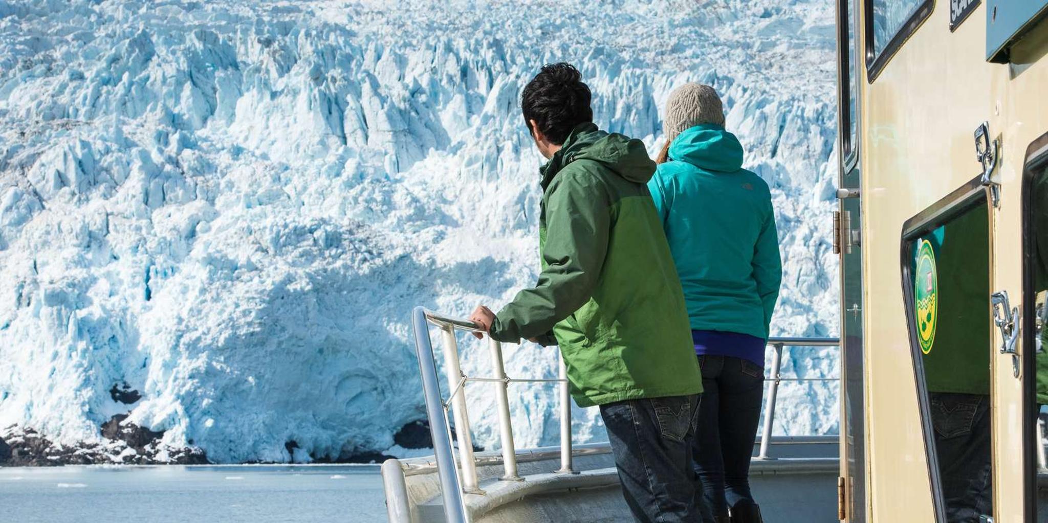 Seward Kenai Fjords National Park Cruise