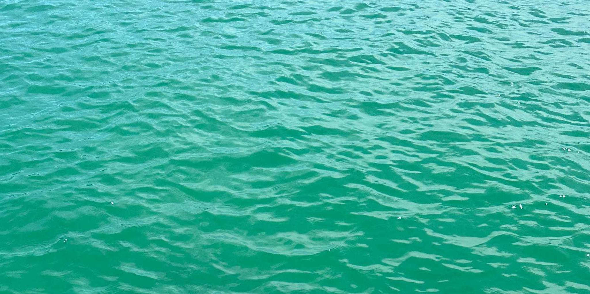 Naples Private Boat Charter with Beach Amenities - Image 4