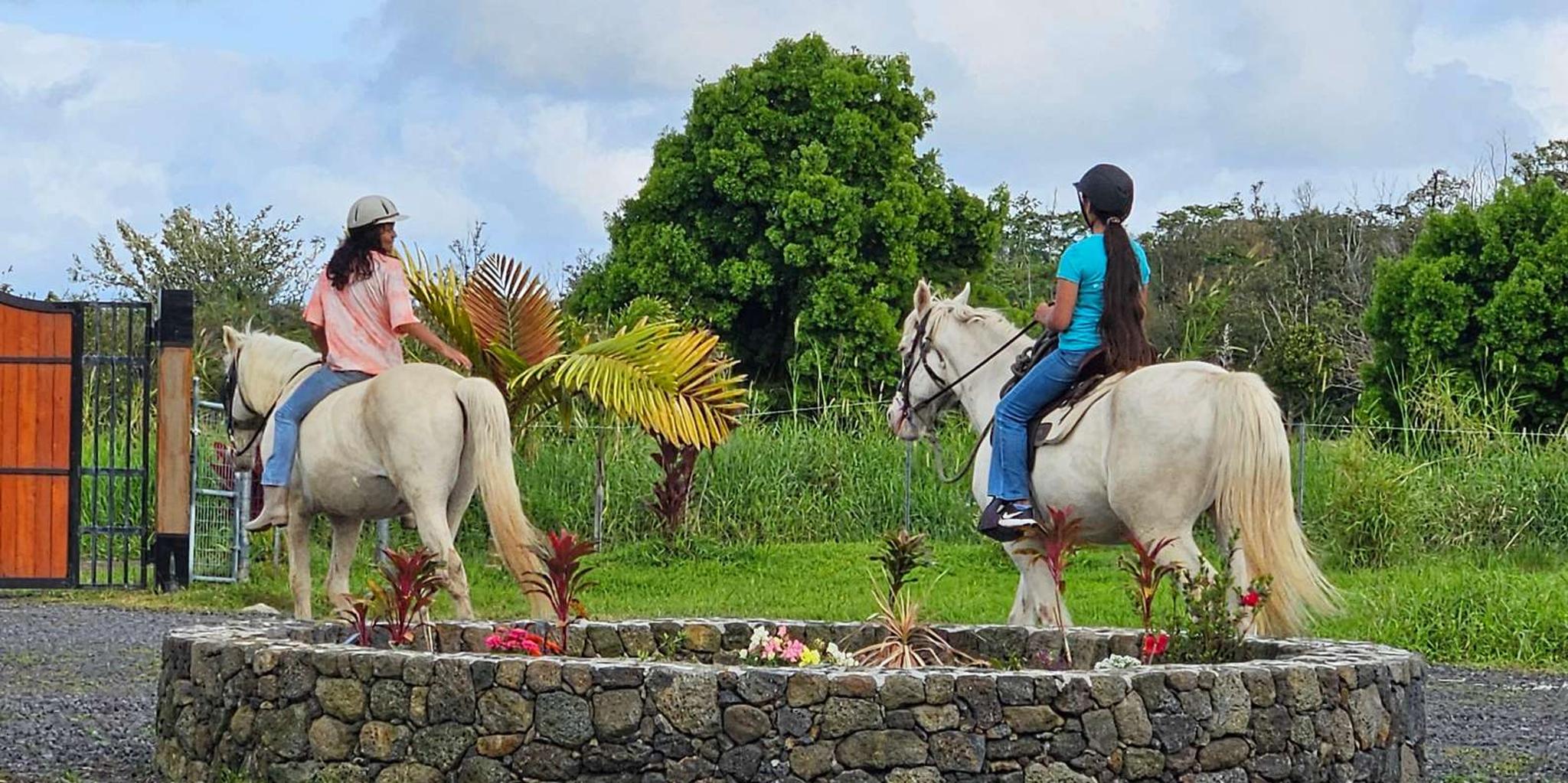 Pāhoa Rainforest Trail Ride - Image 1