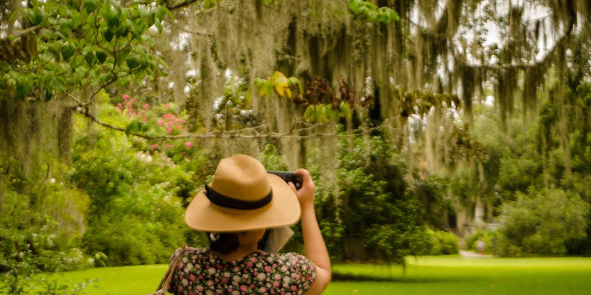 Charleston Magnolia Plantation Tour with City Highlights - Image 3