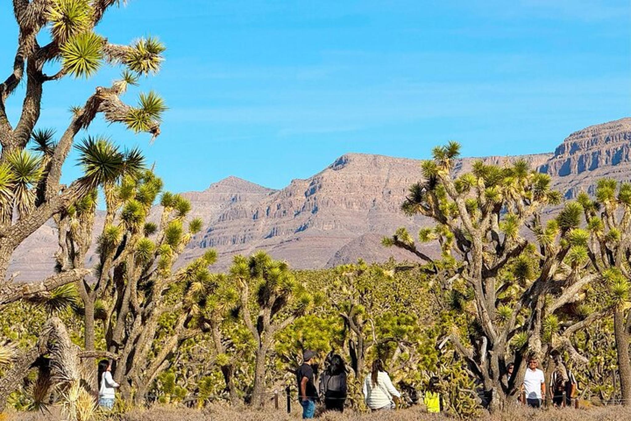 Las Vegas Grand Canyon West Skywalk Day Tour - Image 5