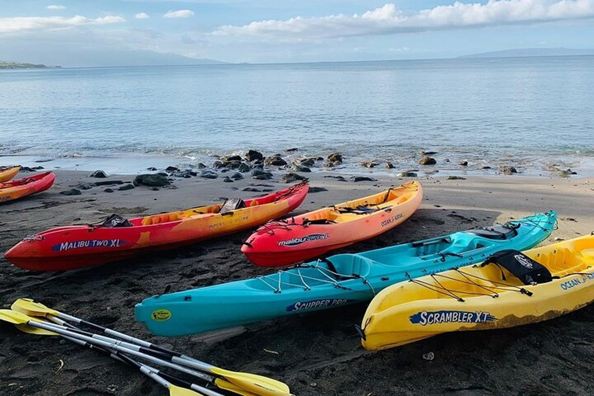Maui Kayak and Snorkel Tour West Shore 2.5 Hr - Image 5