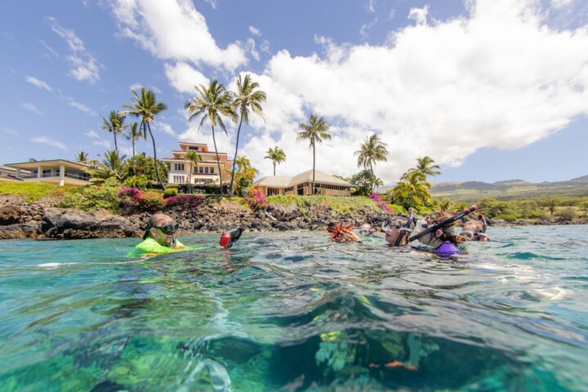 Maui Snorkeling Tour with Free Photo and Video 90 min - Image 5