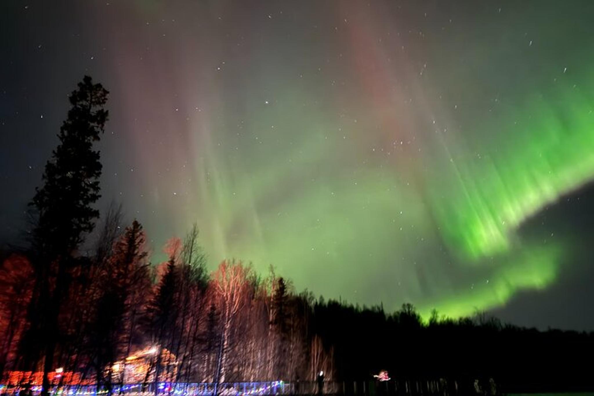 Anchorage Northern Lights Sightseeing Tour