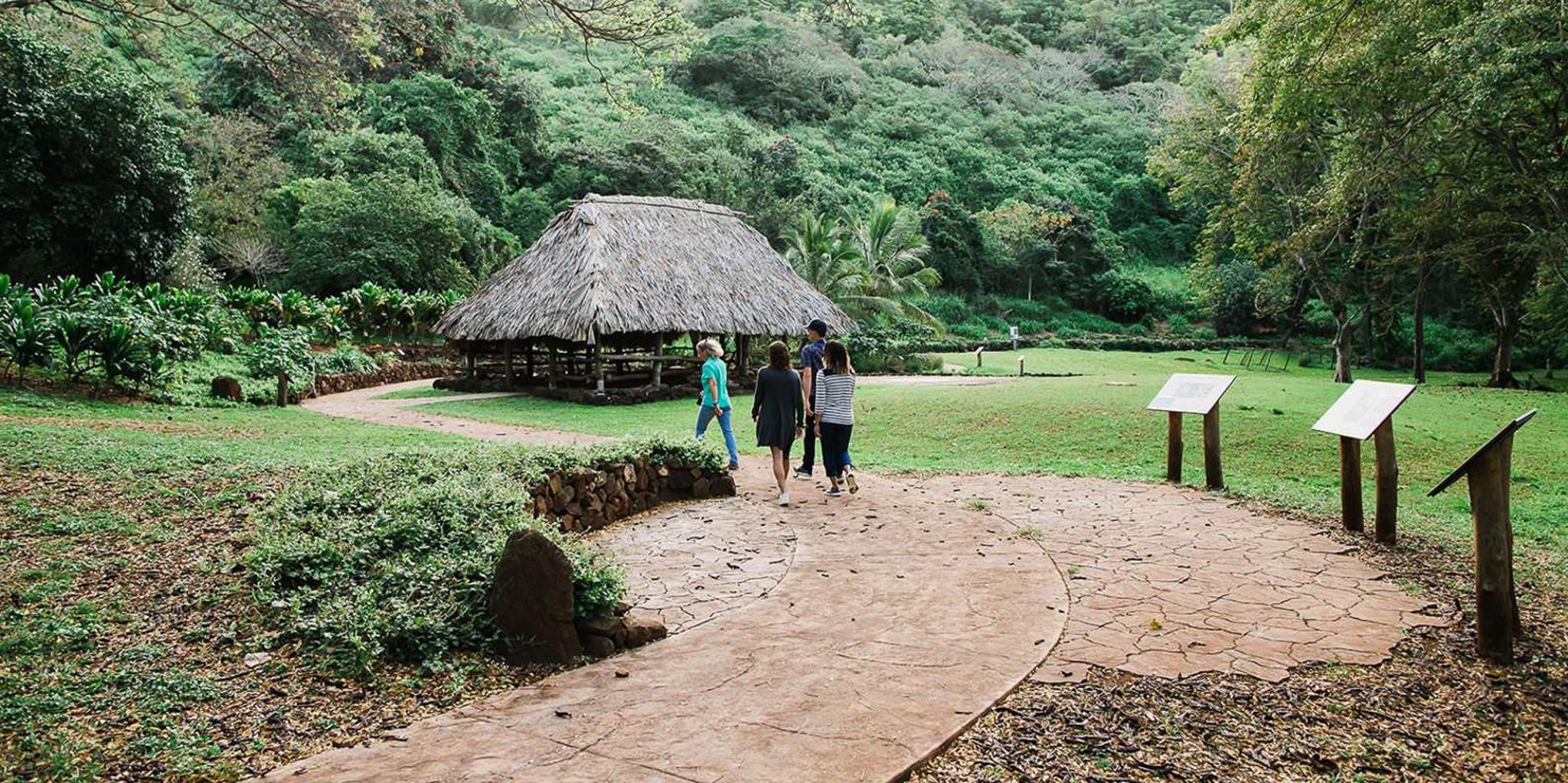 Kauai McBryde Garden Self-Guided Visit 2.5 hr - Image 6