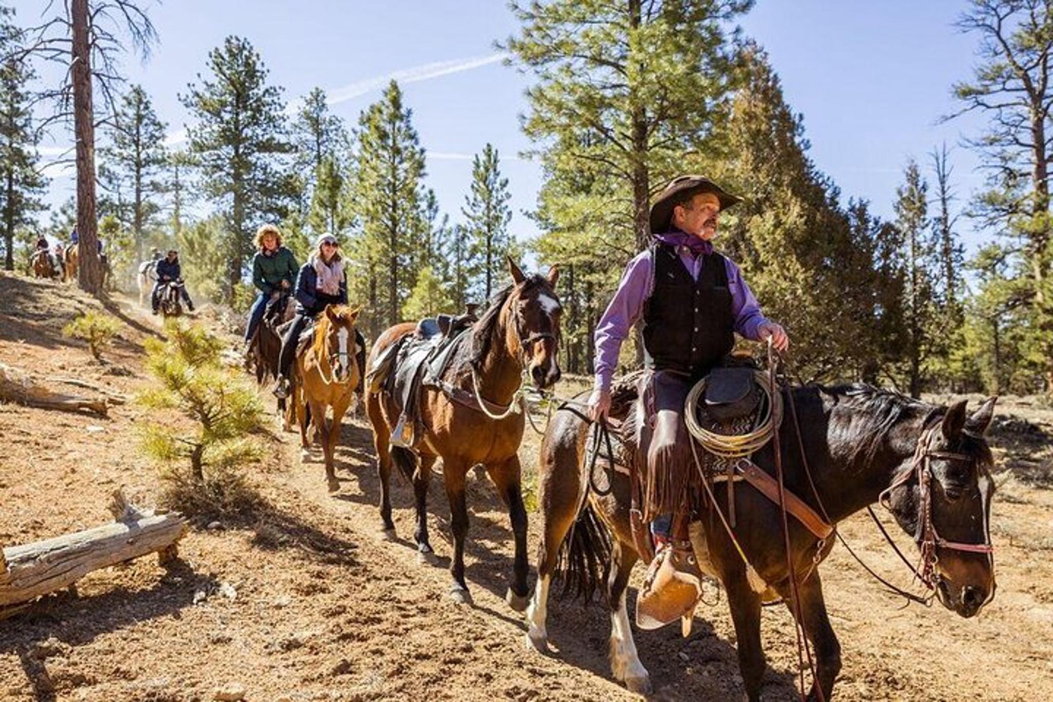 Utah Horseback Adventure Thunder Mountain 4 Hour Ride