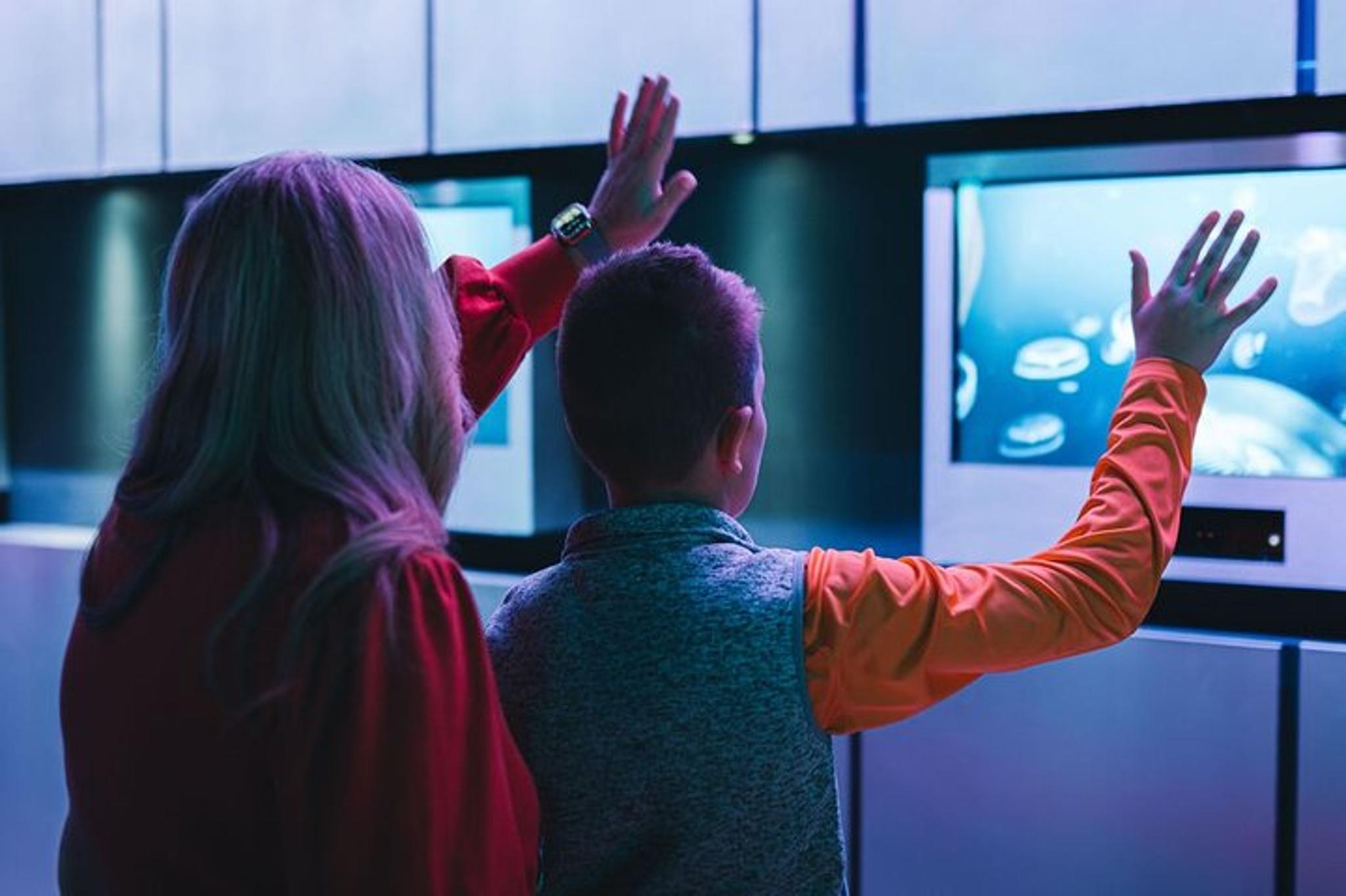 Sevierville Digital Ocean Adventure - Image 6