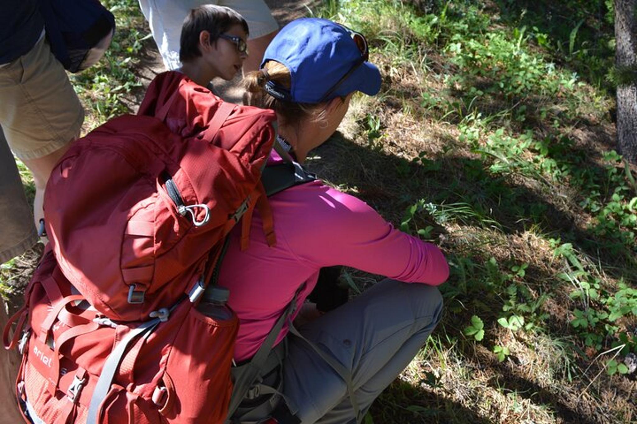 Yellowstone Grand Canyon Hiking Adventure - Image 5