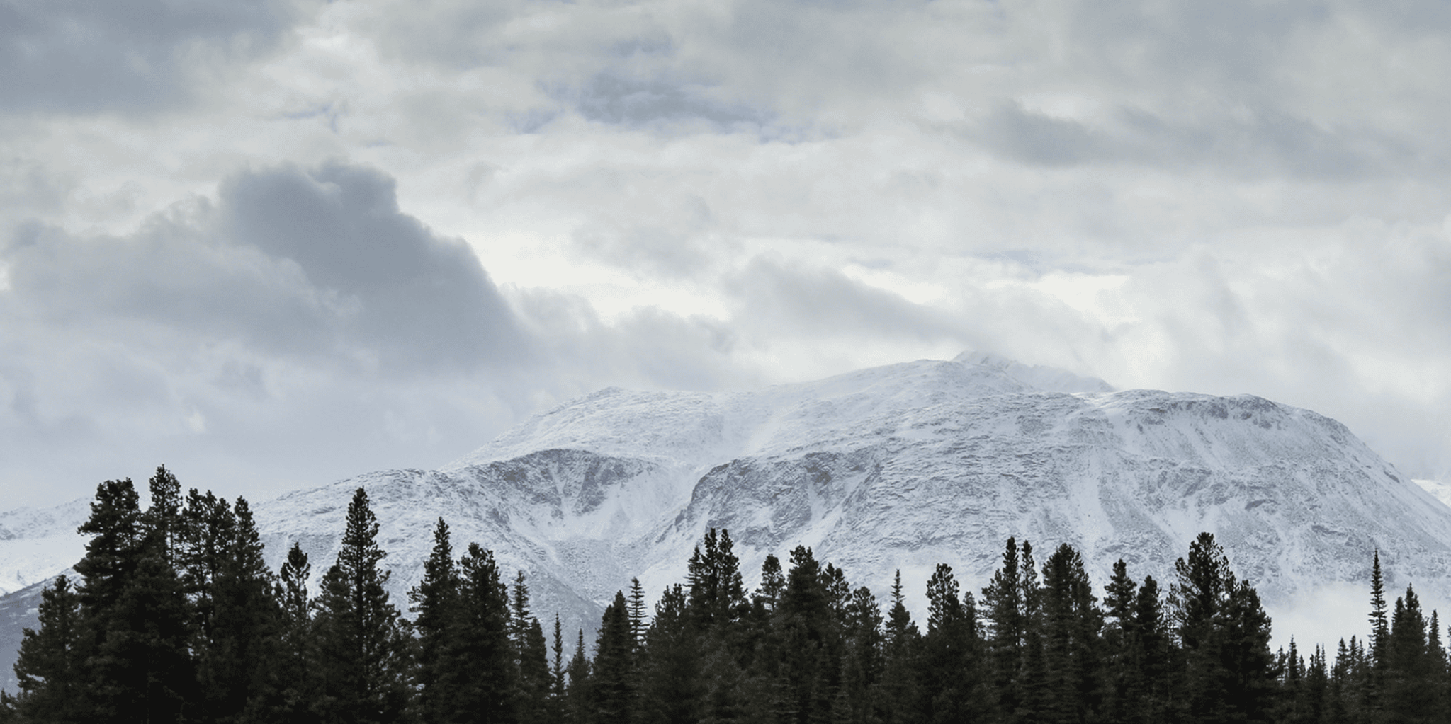 Skagway White Pass & Gold Rush Adventure - Image 2