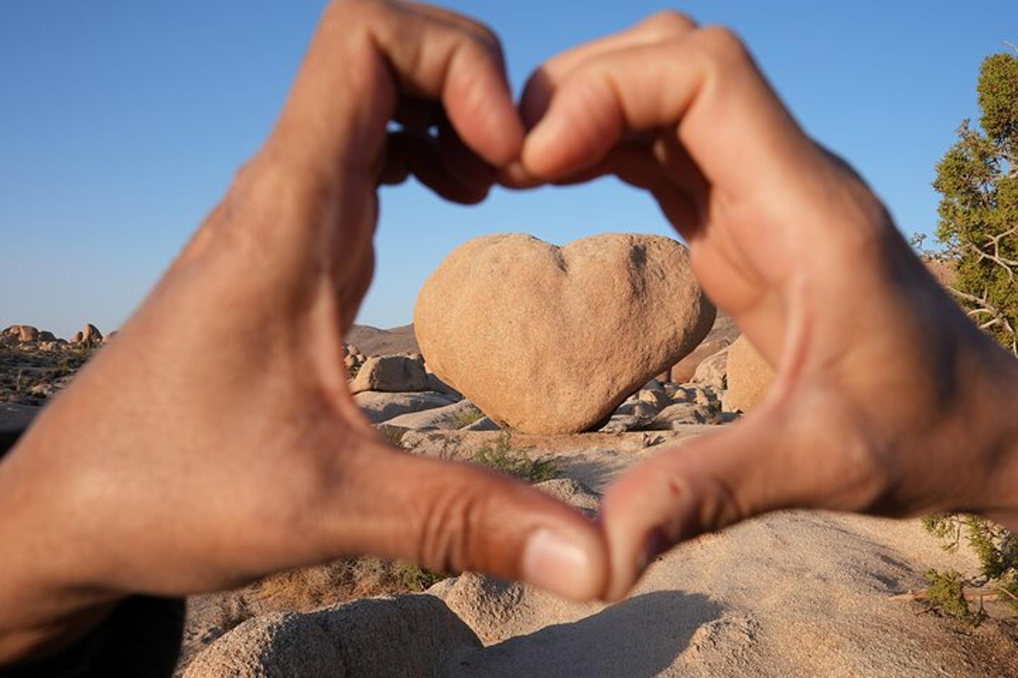 Los Angeles Joshua Tree National Park Adventure - Image 4