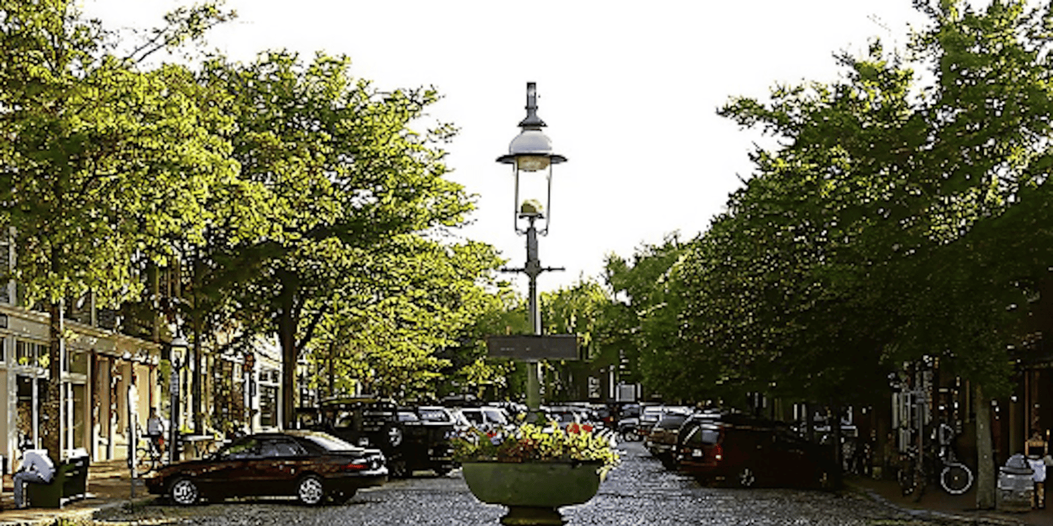 Nantucket Guided Bike Tour - Image 3