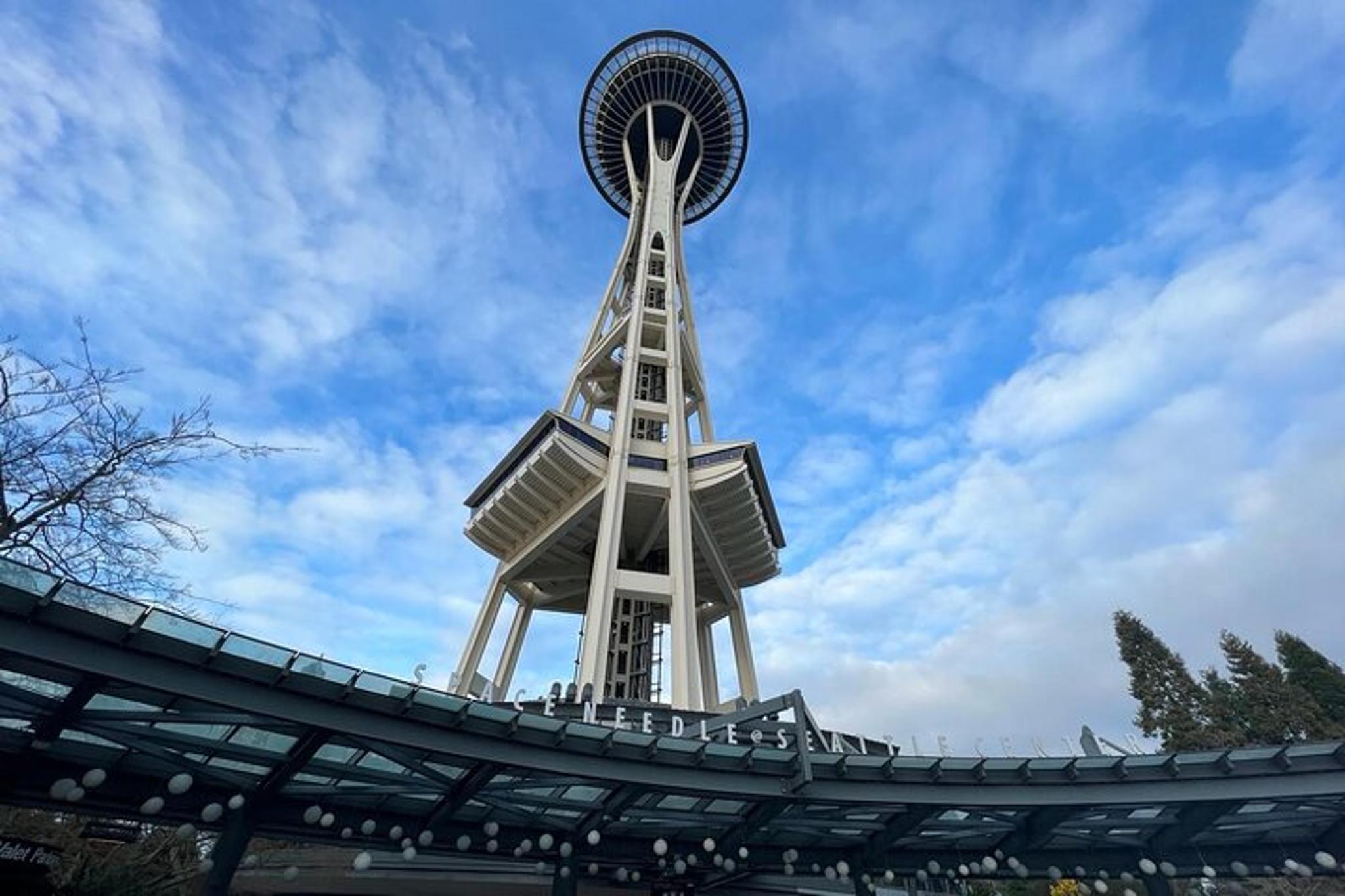 Seattle and Mt Rainier 2-Day Tour - Image 1