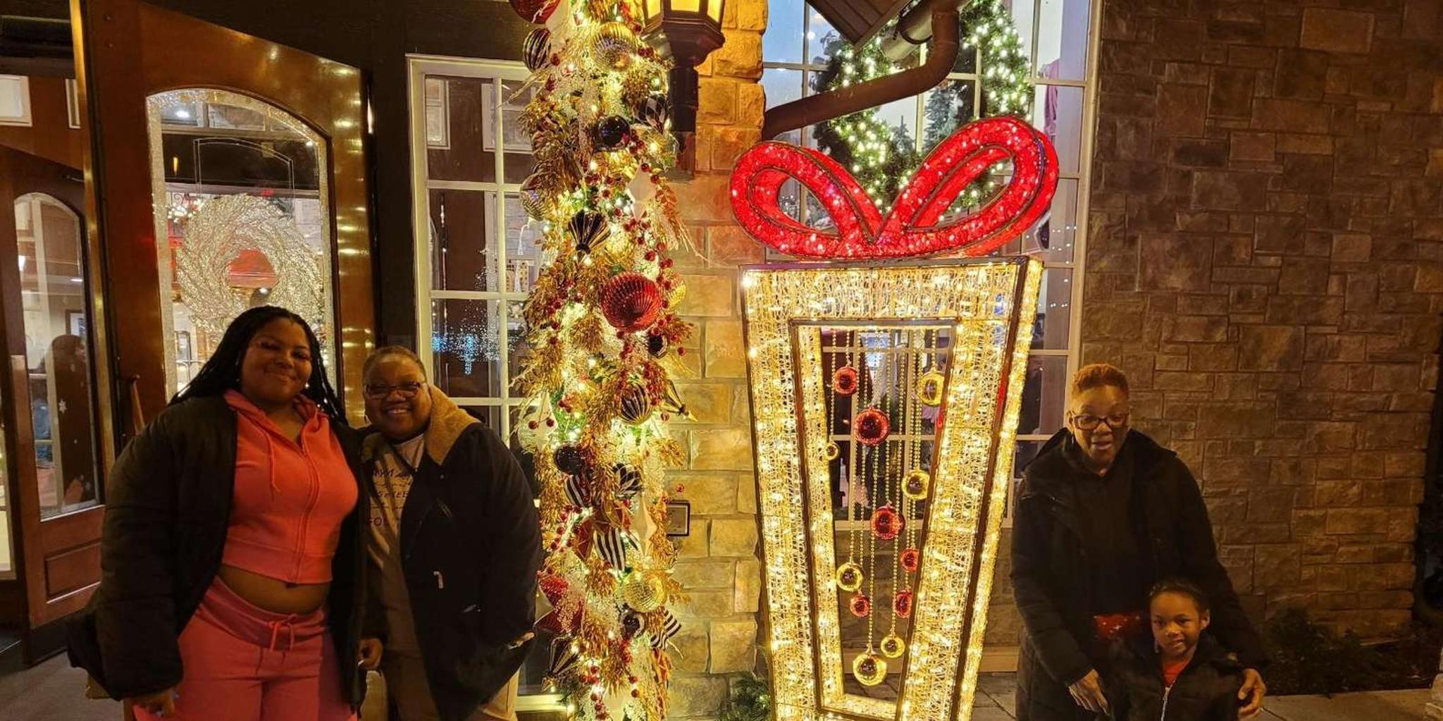 Pigeon Forge Holiday Lights Tour - Image 2