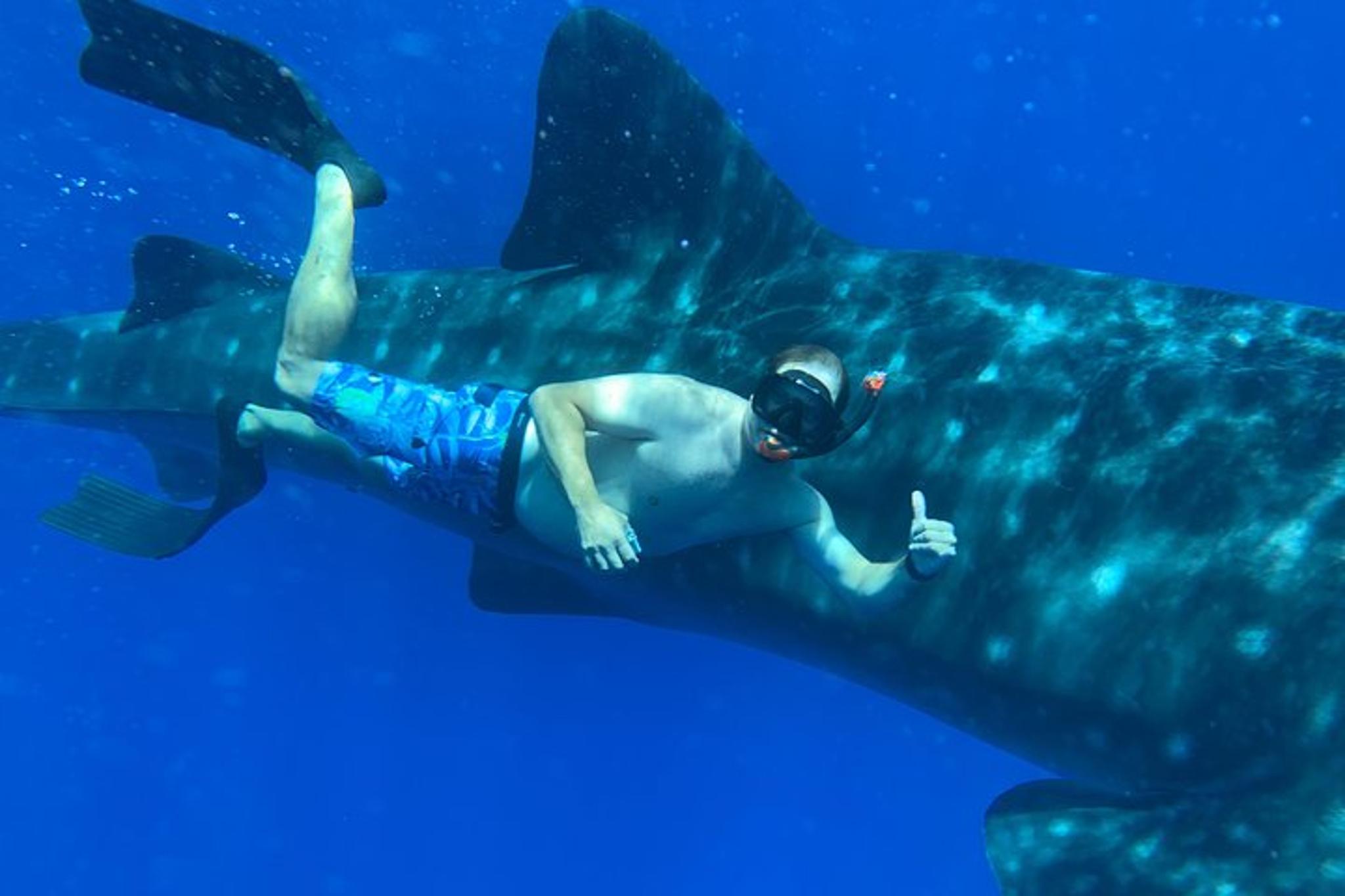 Lahaina Snorkel and SCUBA Adventure