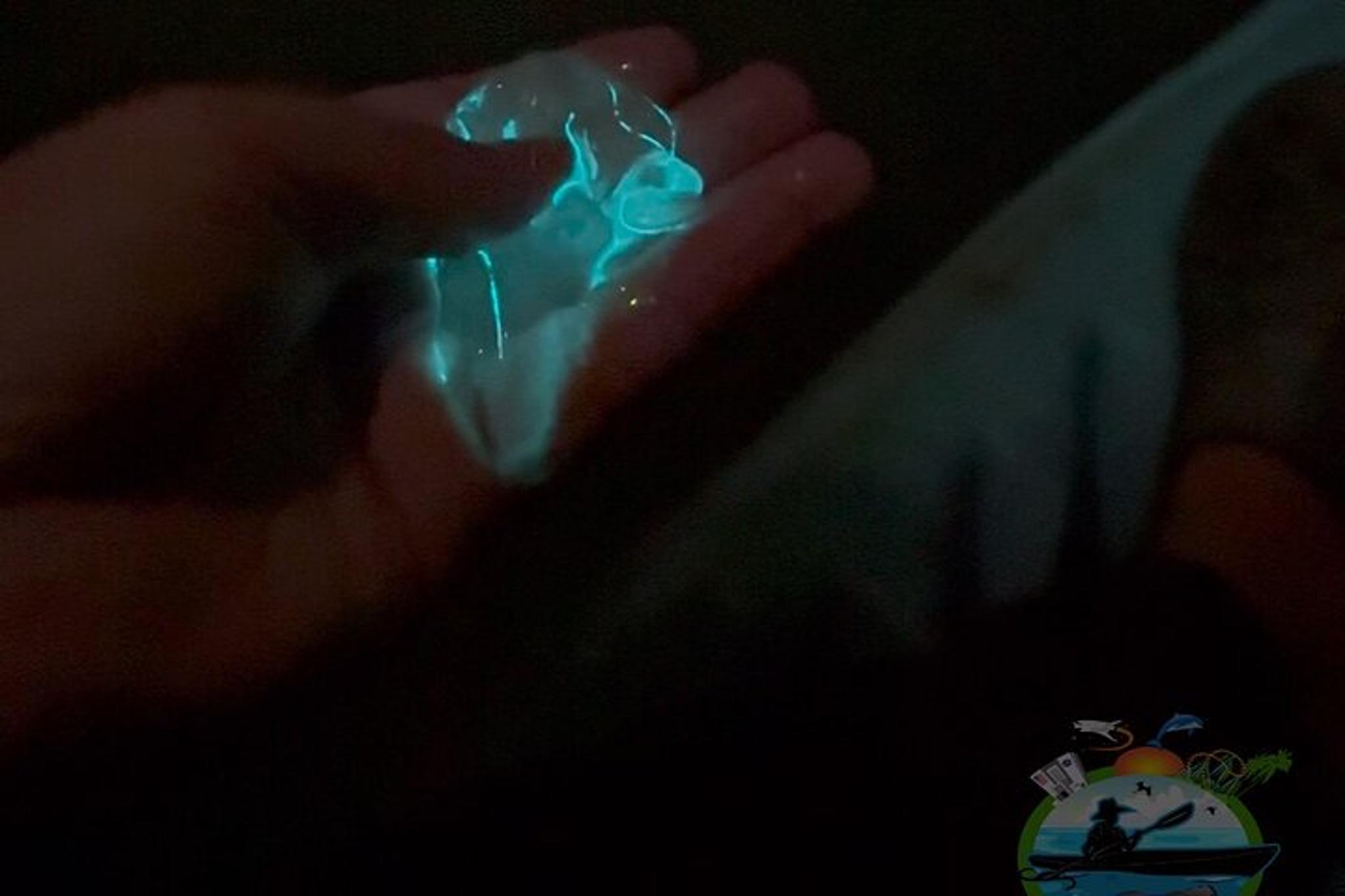 Titusville Bioluminescence Kayaking Tour 90 Min - Image 4