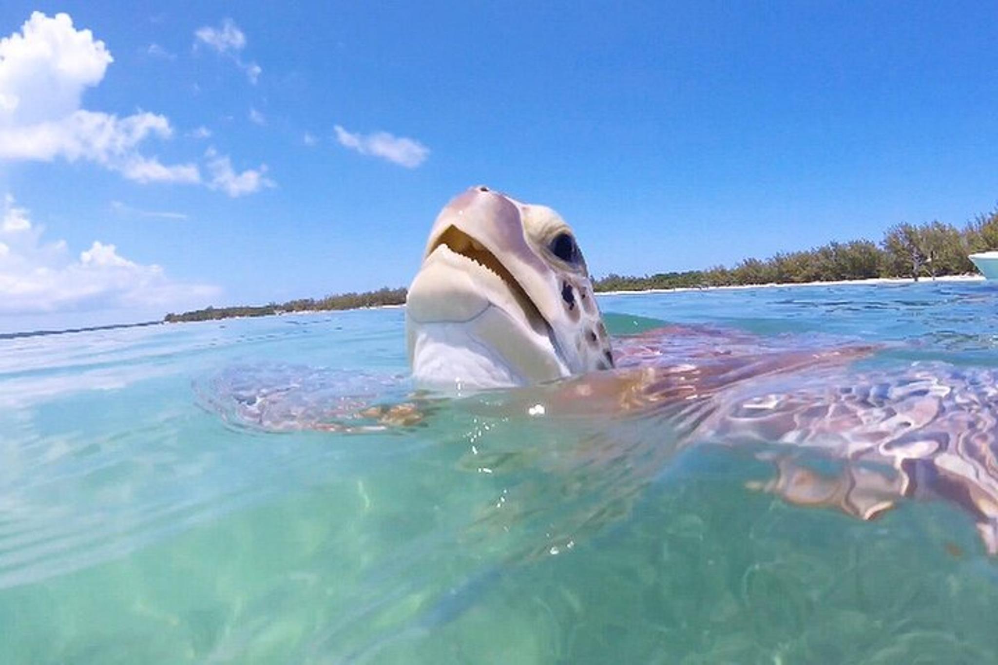 Miami Private Islands Day Trip - Image 5