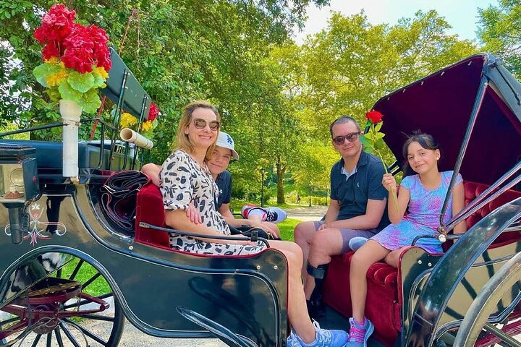 New York Central Park Carriage Tour 50 Min - Image 3
