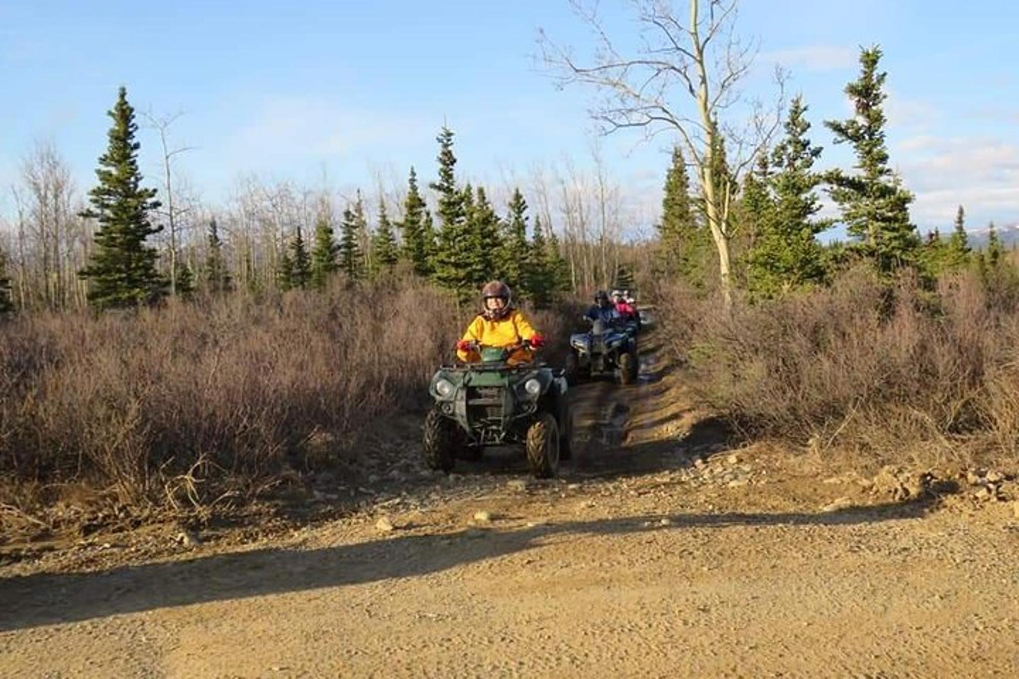 Healy ATV Adventure in Alaska Wilderness 3 hr - Image 6