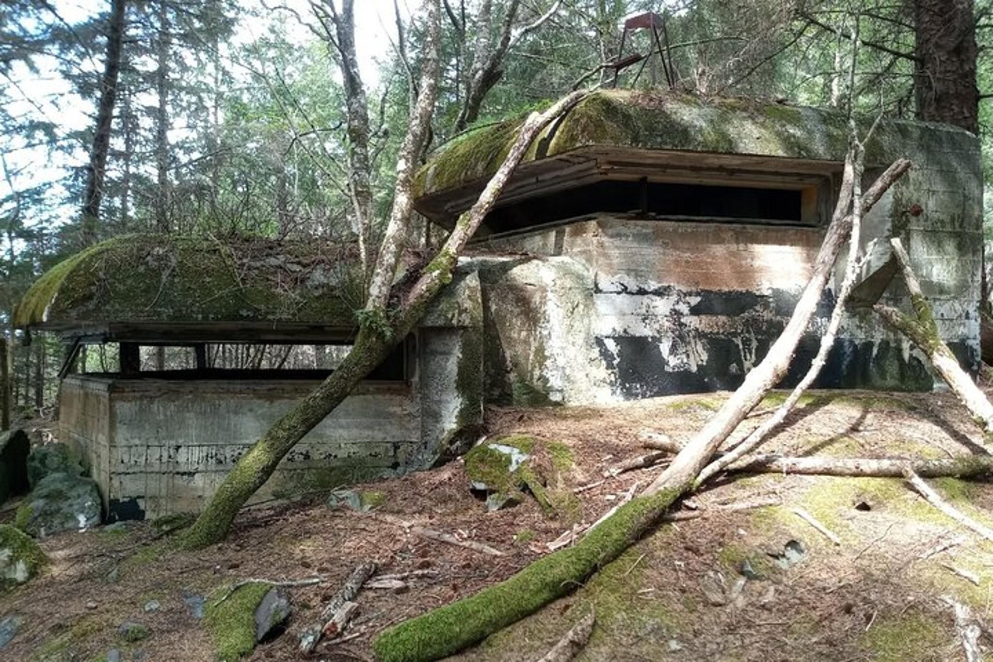 Sitka Kayak Tour of War Bunkers and Wildlife - Image 2