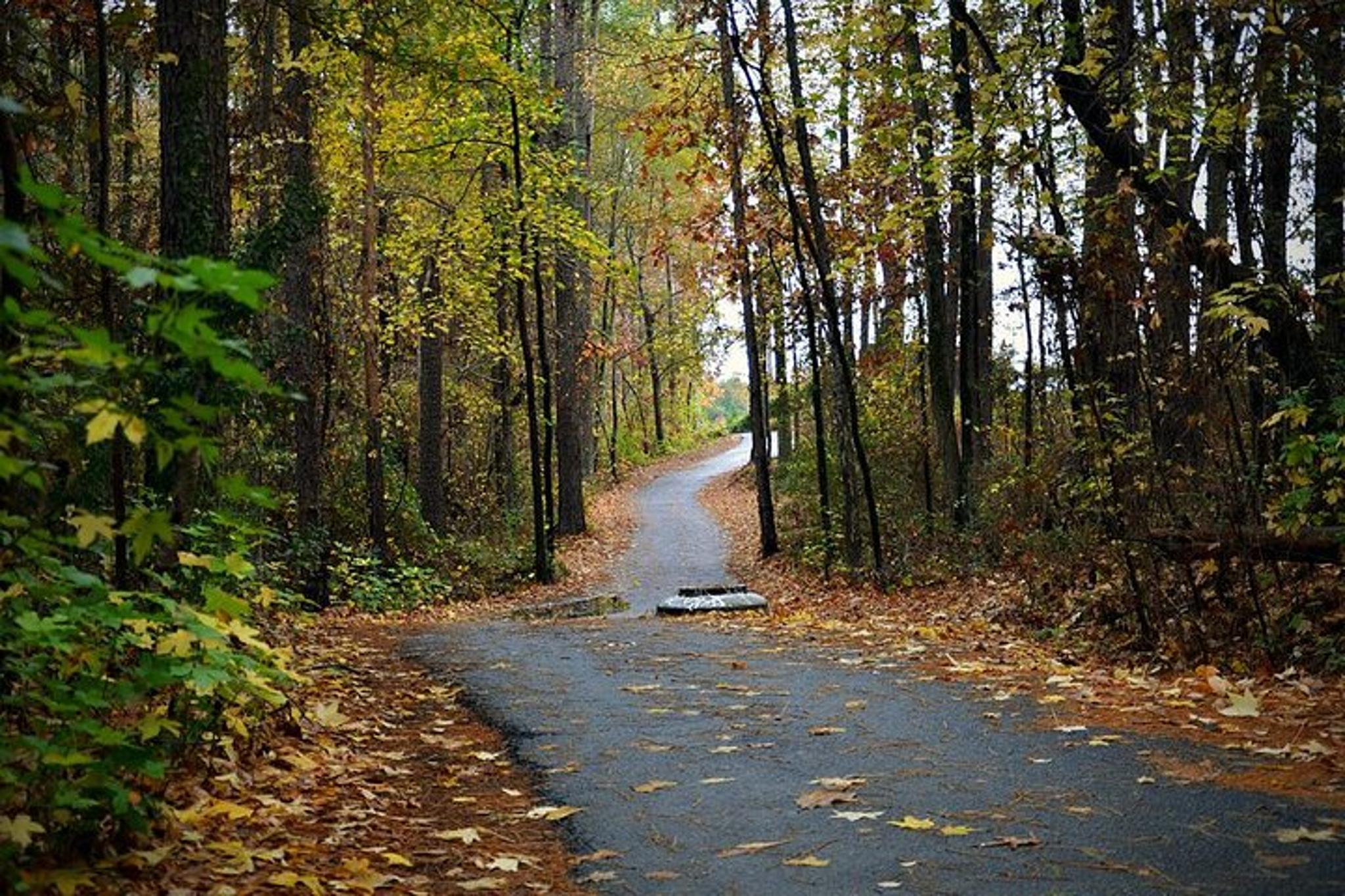 Peachtree City Golf Cart Tour - Image 5