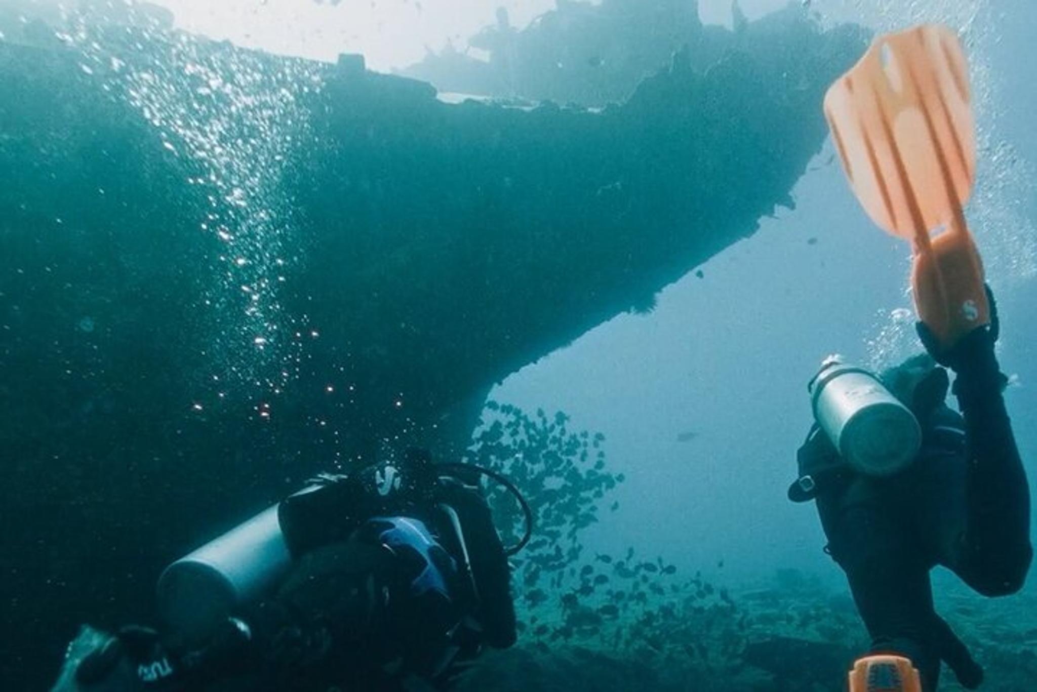 Oahu 2-Tank Wreck and Reef Dive - Image 6