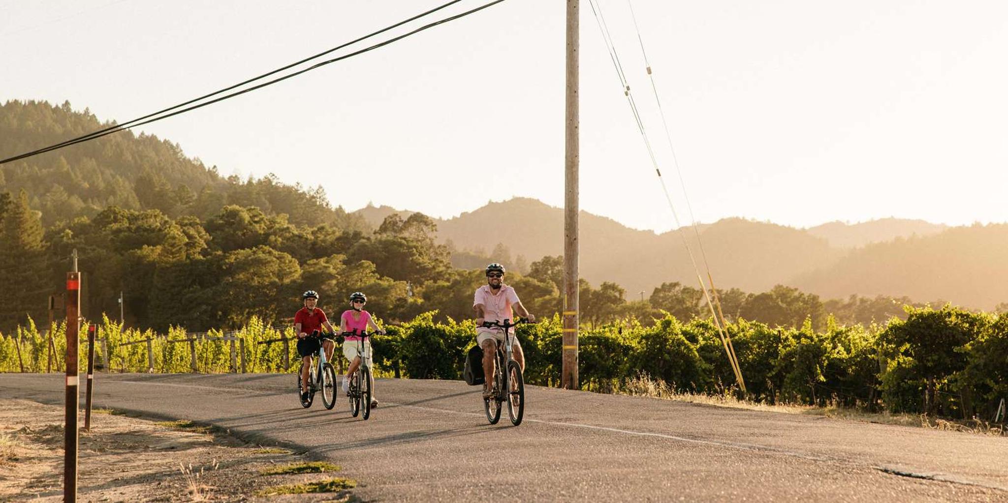 Healdsburg Electric Bike Wine Tour - Image 3