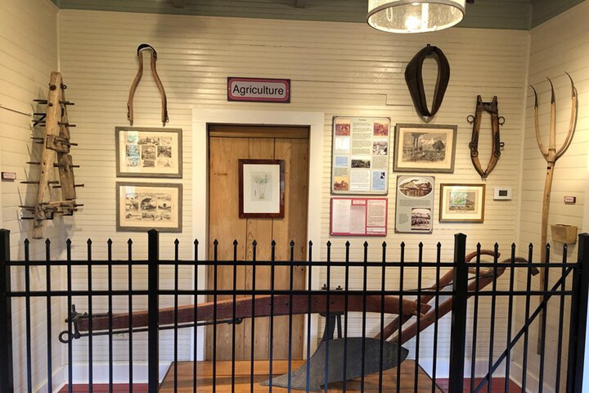 New Orleans Plantation and Airboat Tour - Image 4