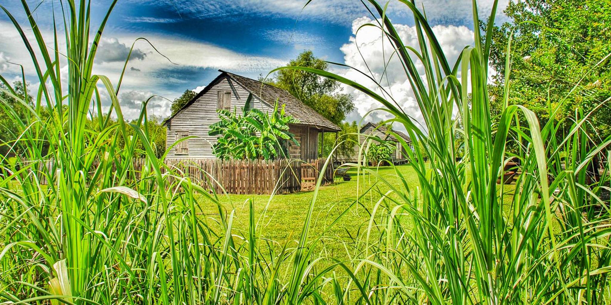 New Orleans Whitney Plantation Tour with Transportation - Image 6