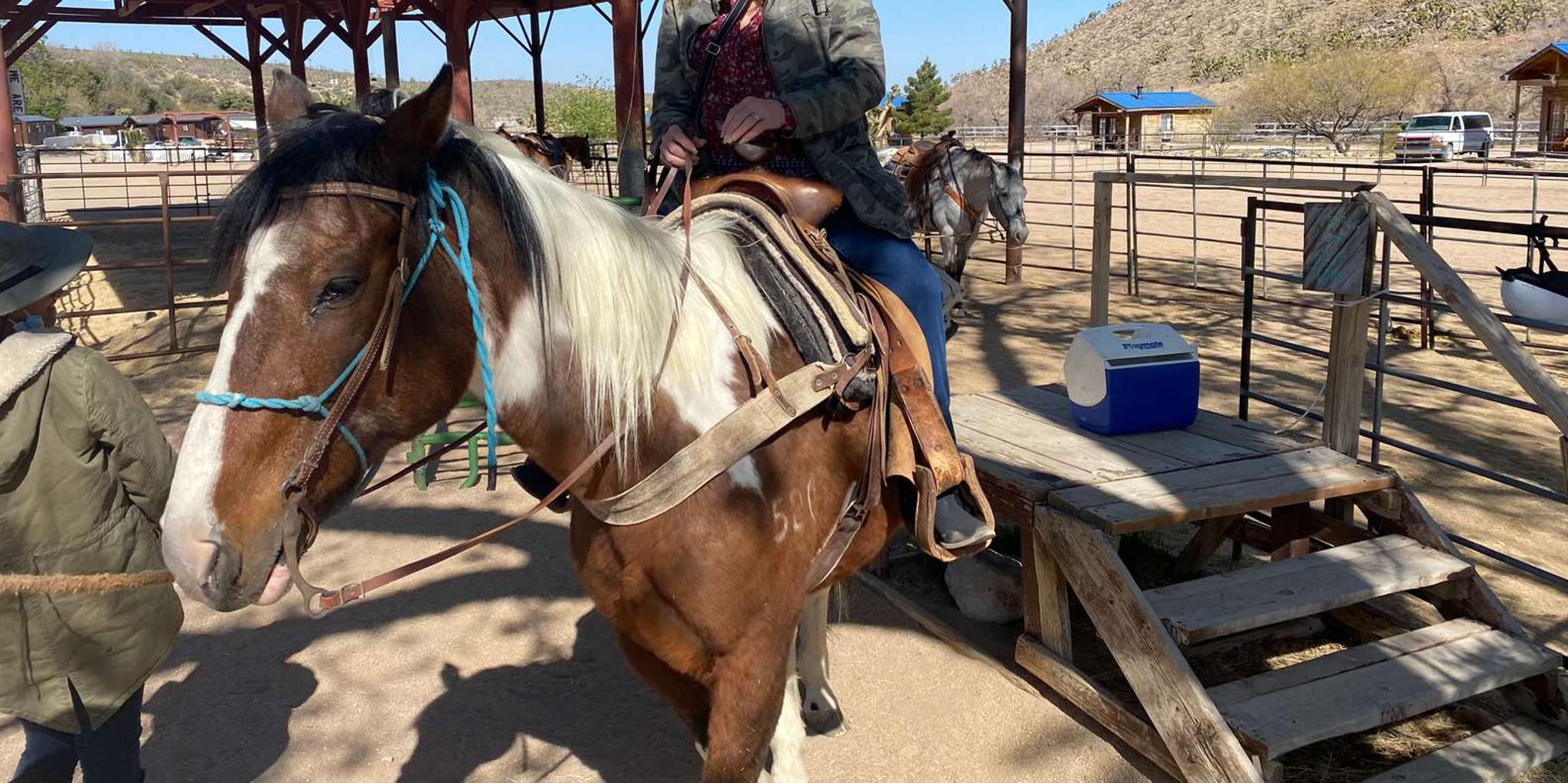 Las Vegas Horseback Ride in Joshua Tree Forest - Image 4