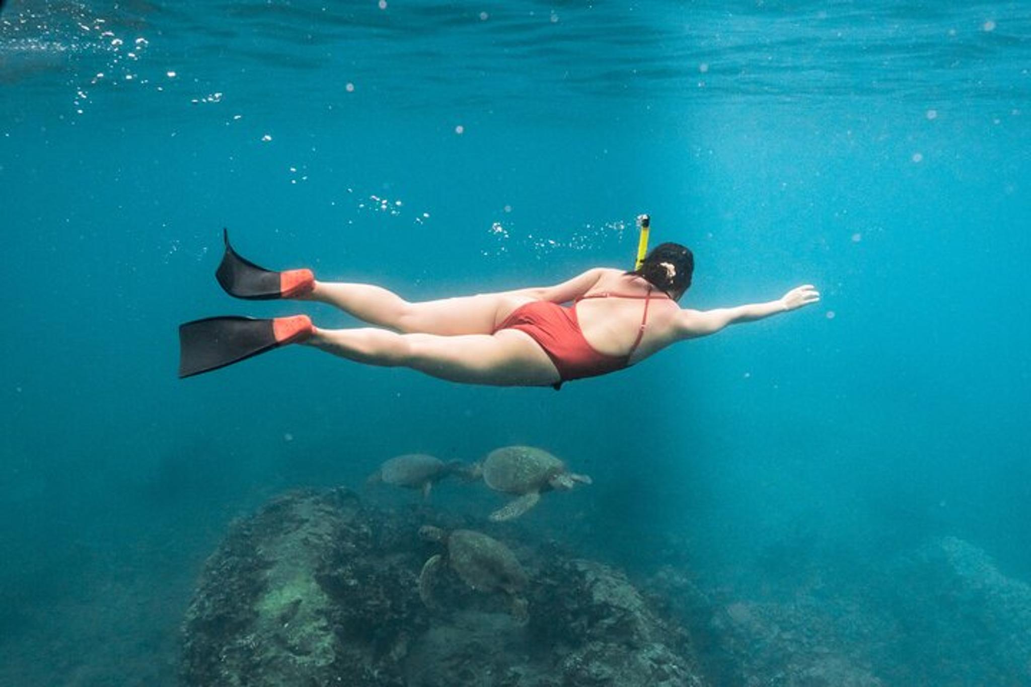 Waianae Dolphin Swim and Snorkeling Safari - Image 1