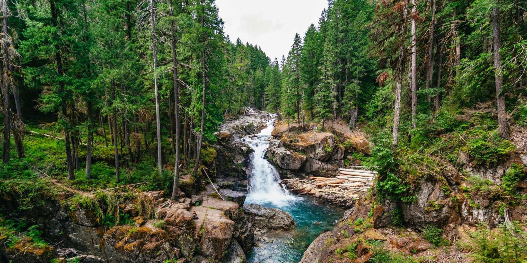 Seattle Mount Rainier National Park Day Tour - Image 2