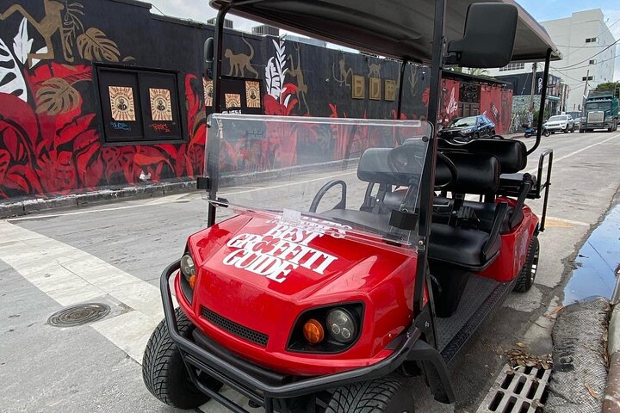 Miami Street Art Tour in Wynwood 1 hr - Image 1