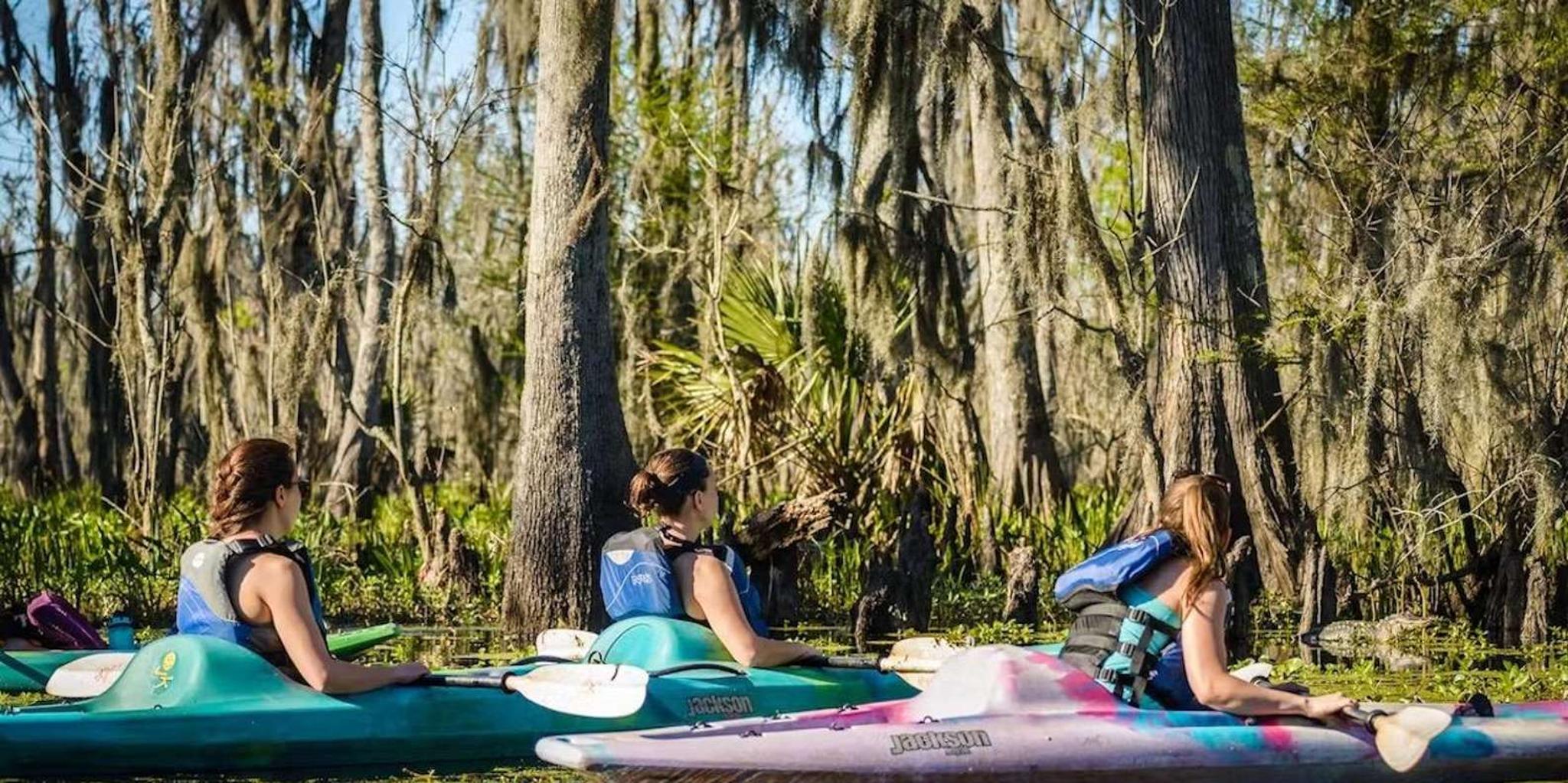 New Orleans Manchac Swamp Kayak Tour - Image 6